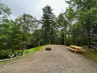 The Forest Poshtel