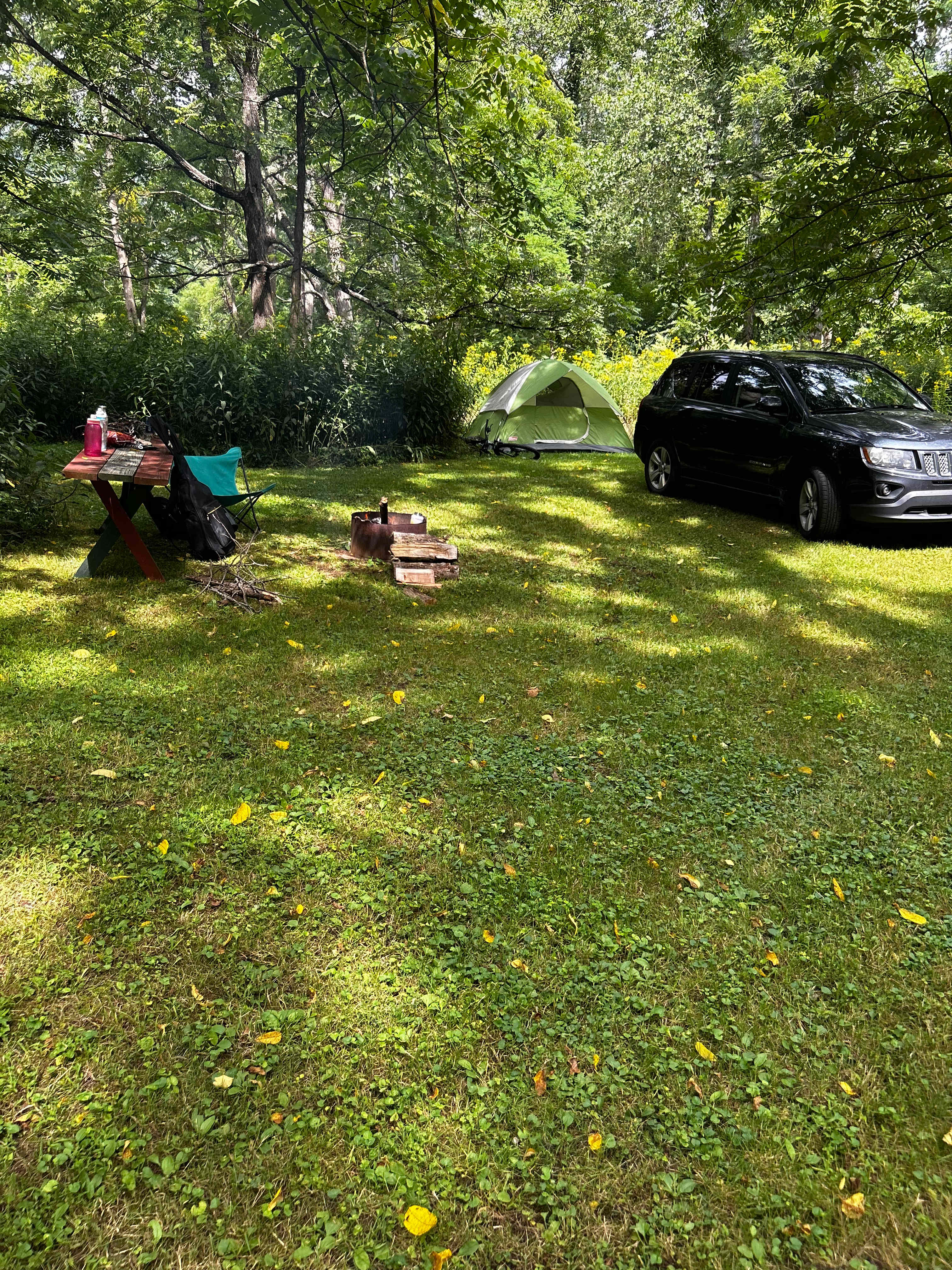 Picture of the site