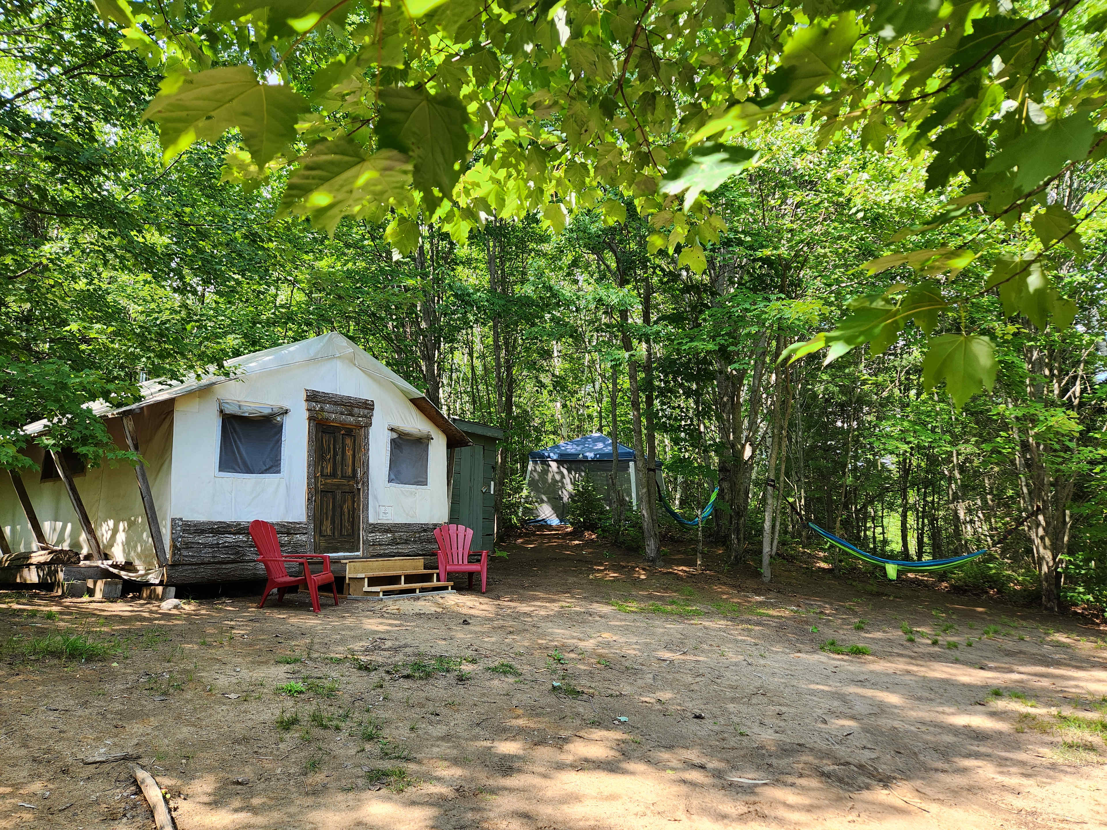 Picture of the site