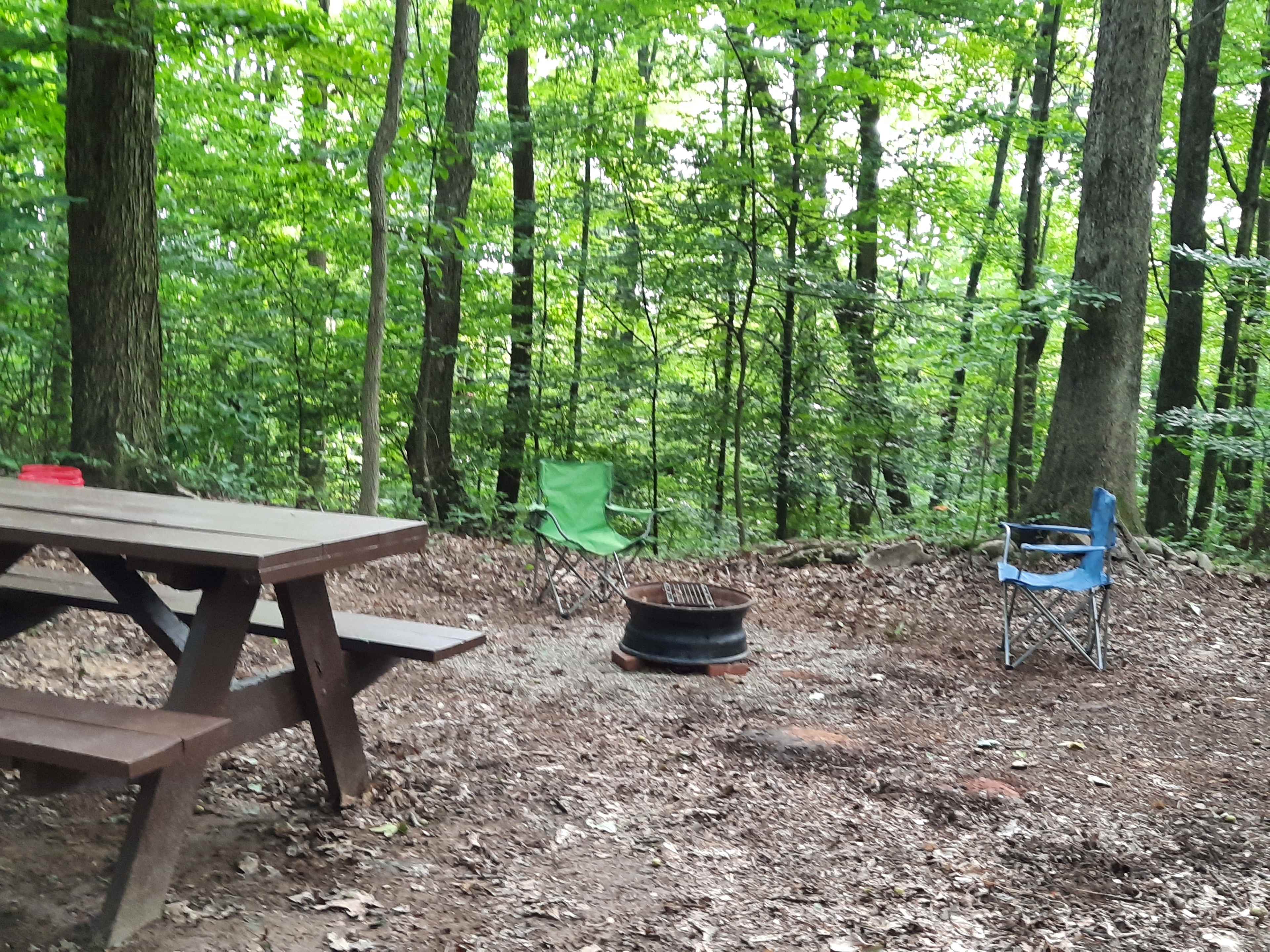 Picture of the site