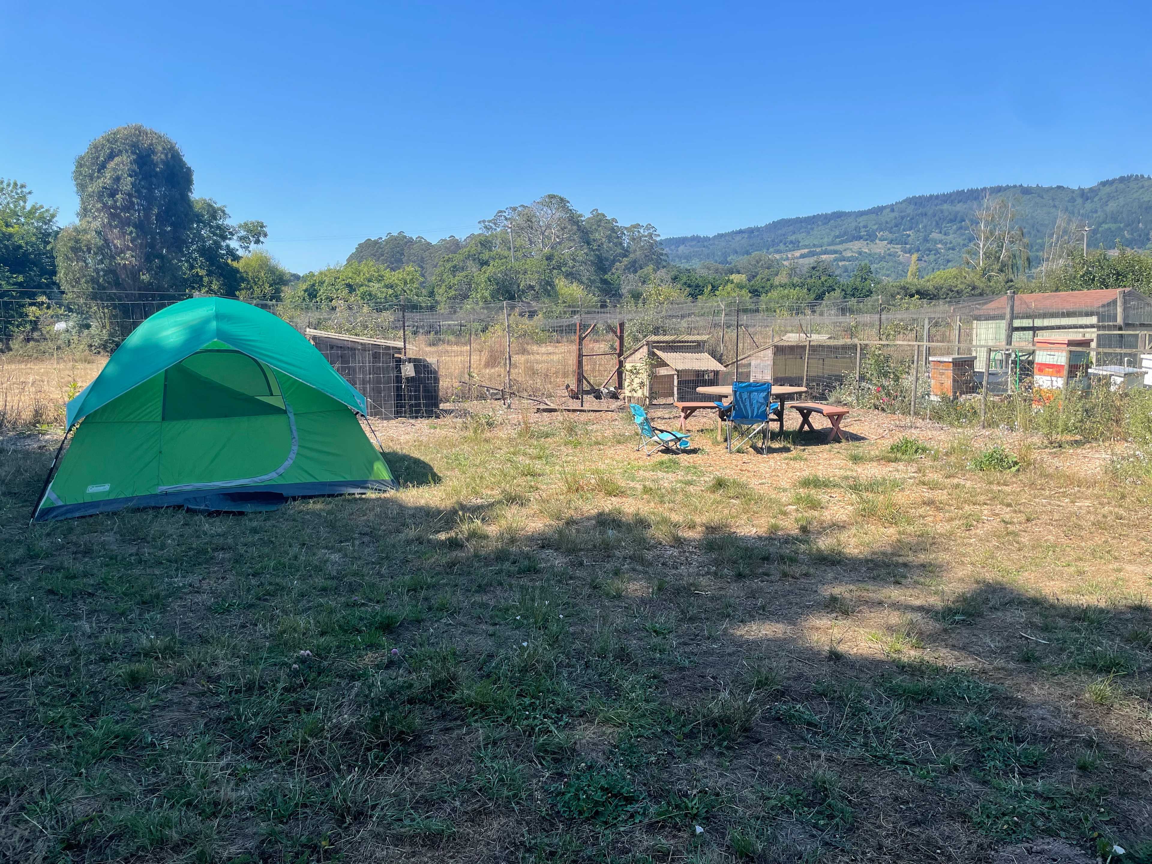 Picture of the site