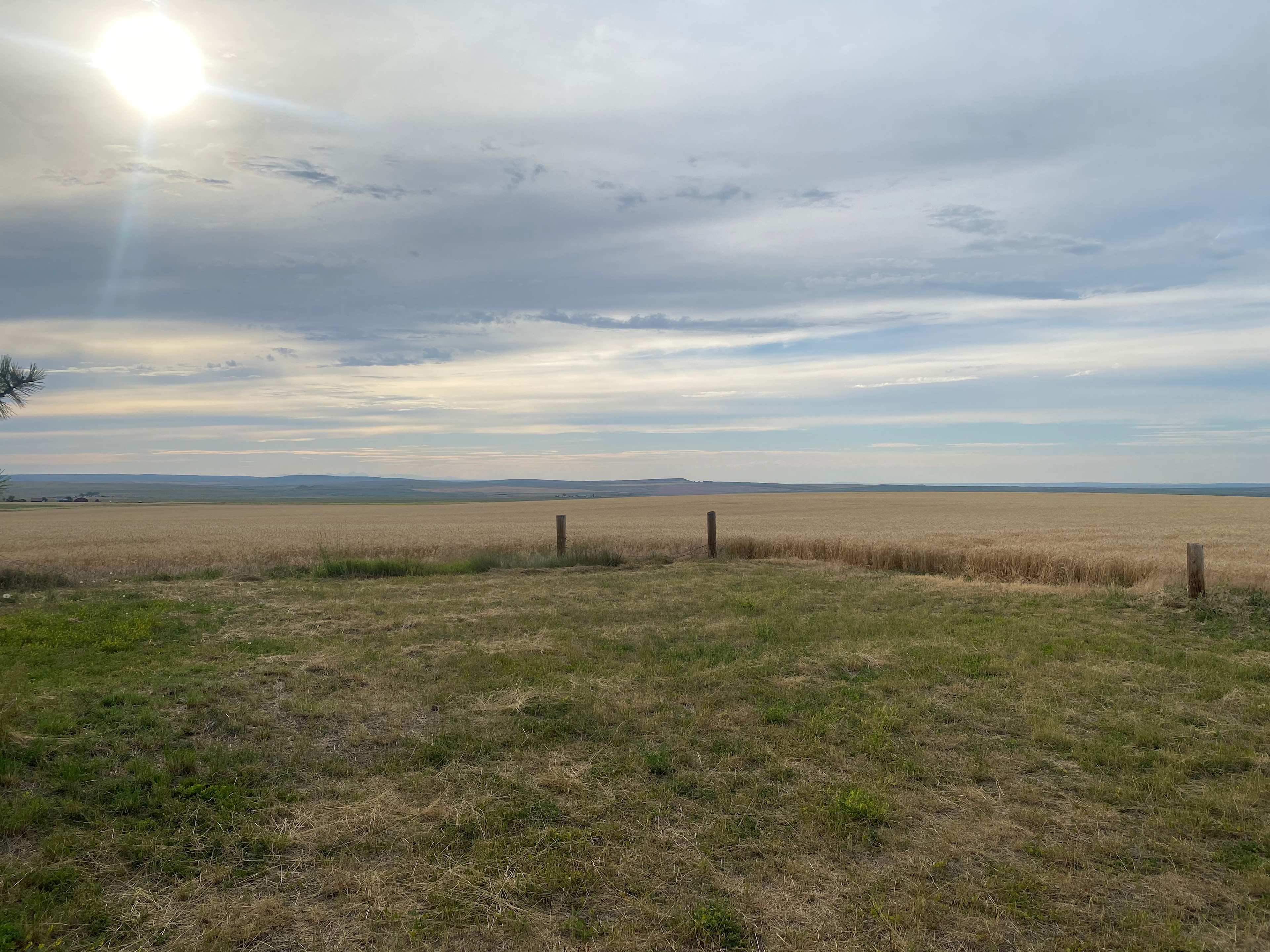 Taylor Ranch