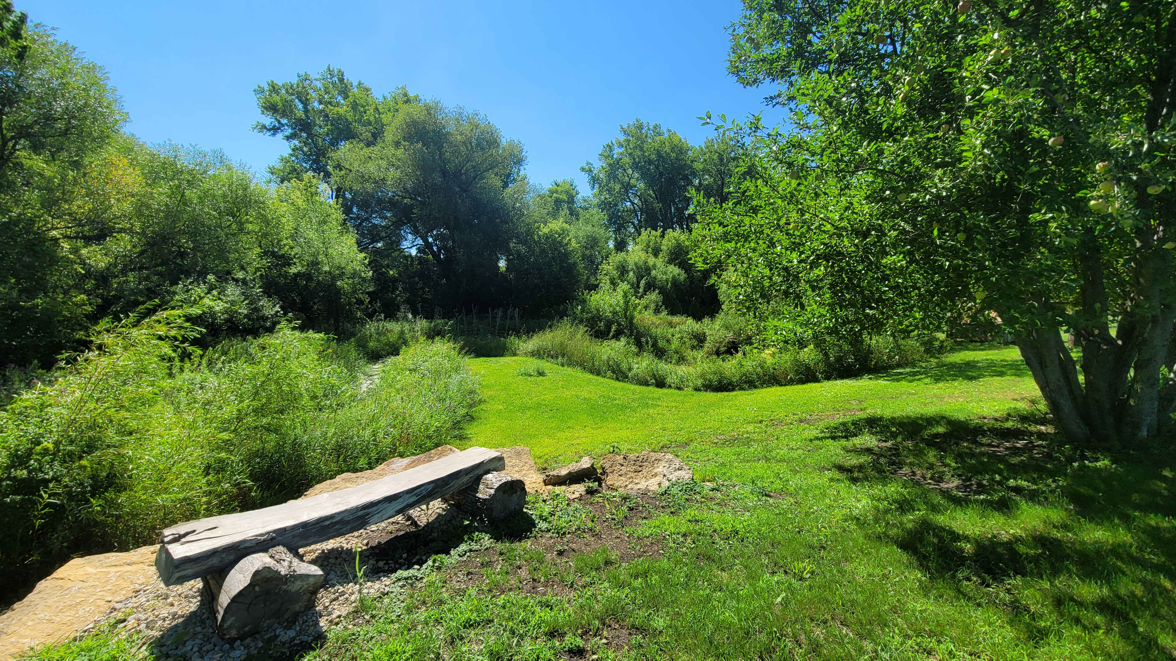 Picture of the site