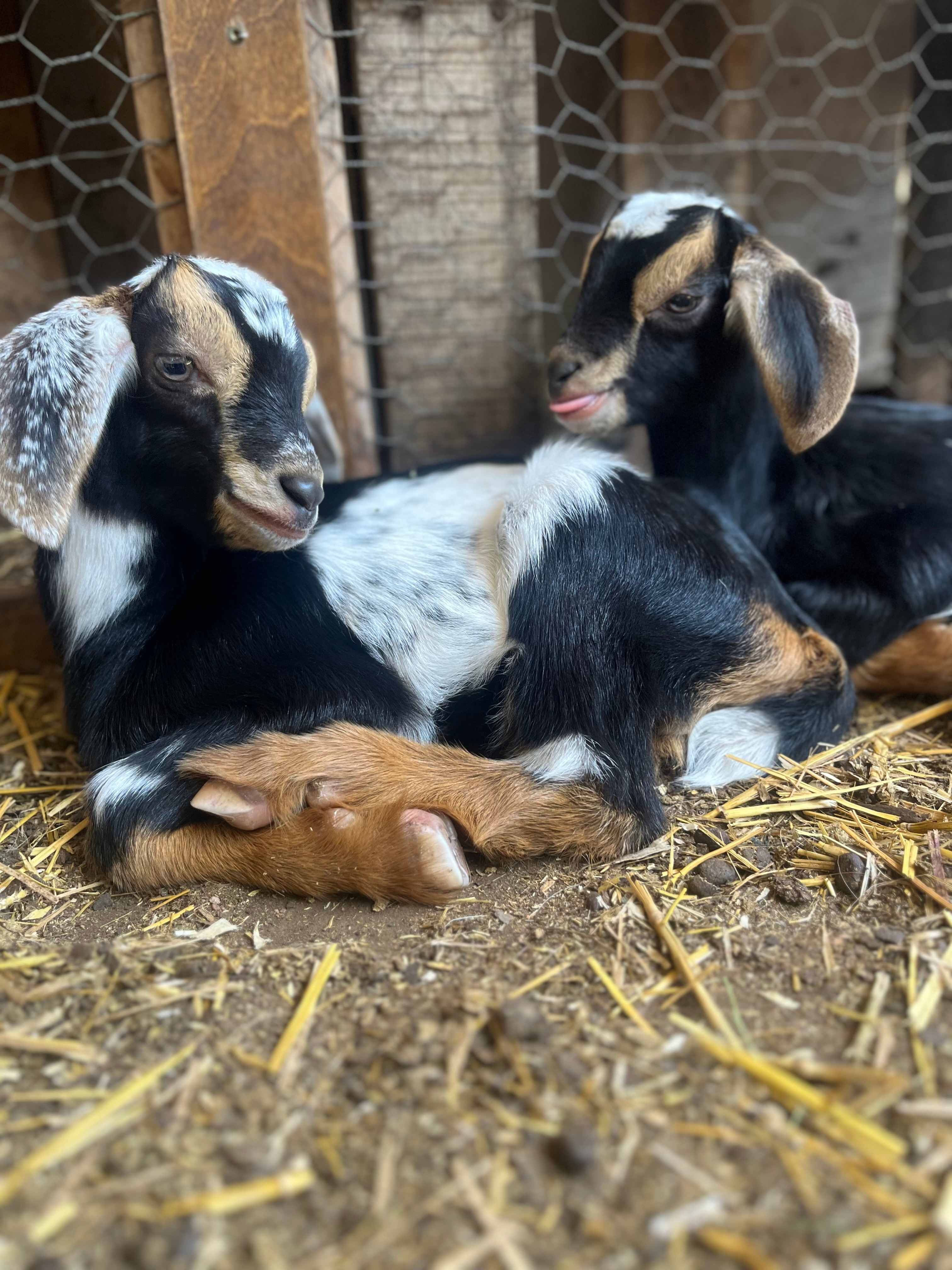 Provisions Farm