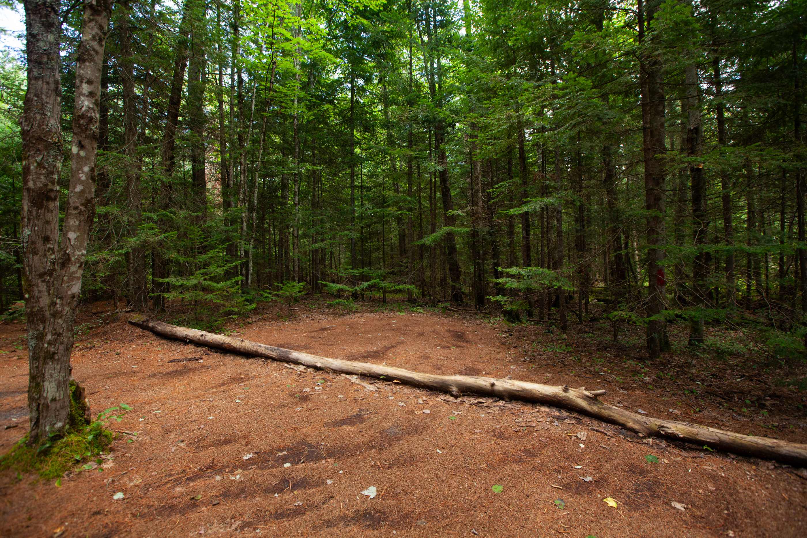 Site 1