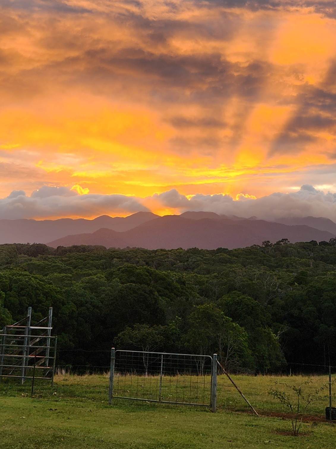 Stunning sunsets