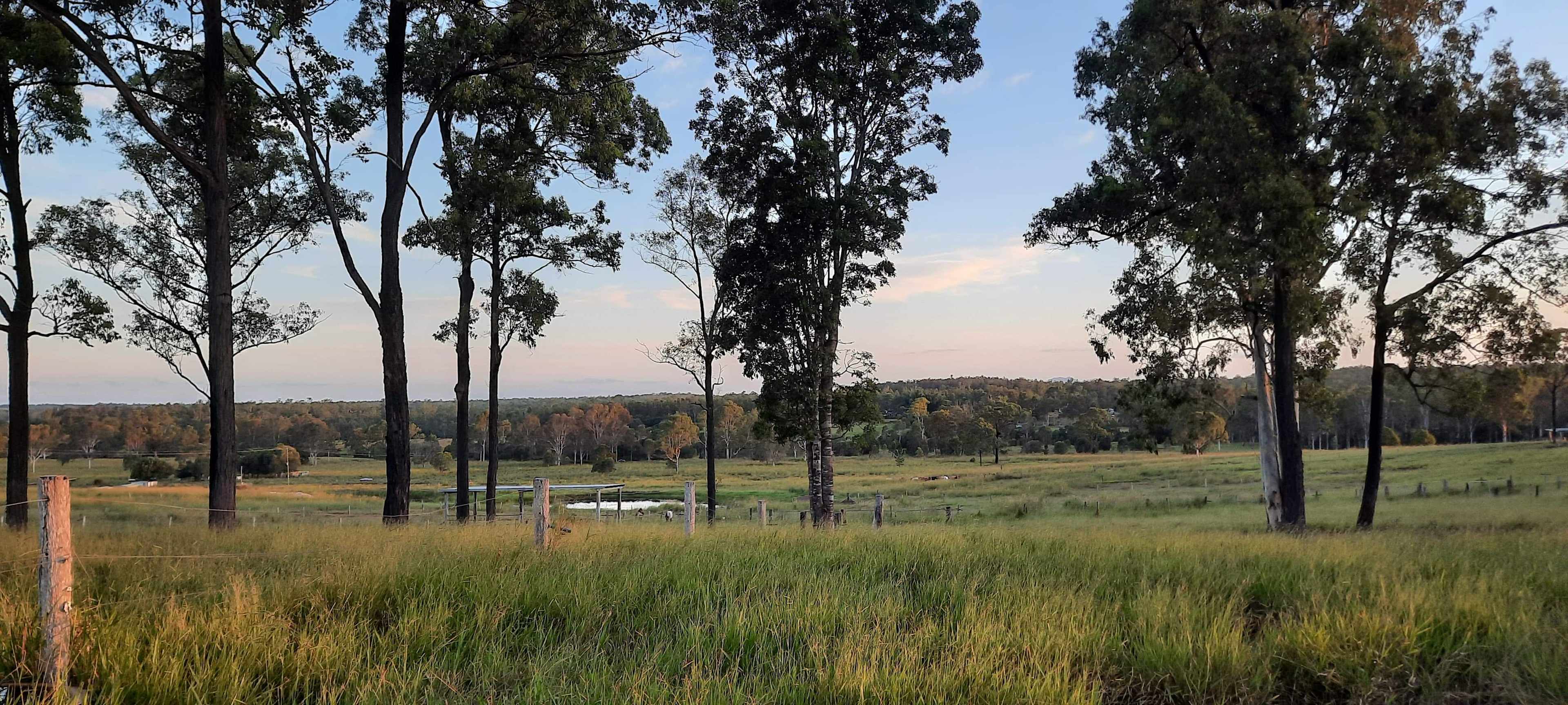 Valley Views Performance Horses