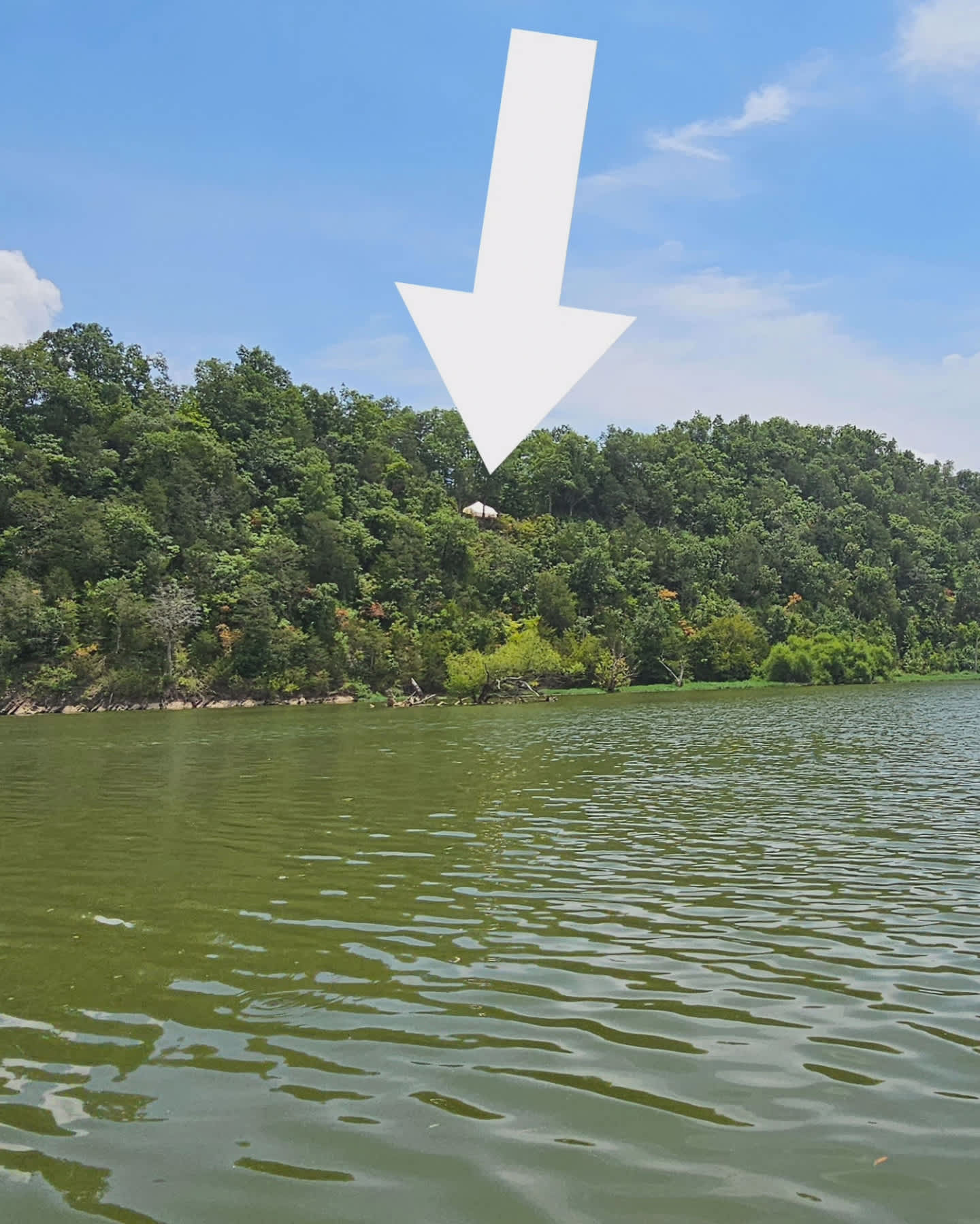 Picture of the site