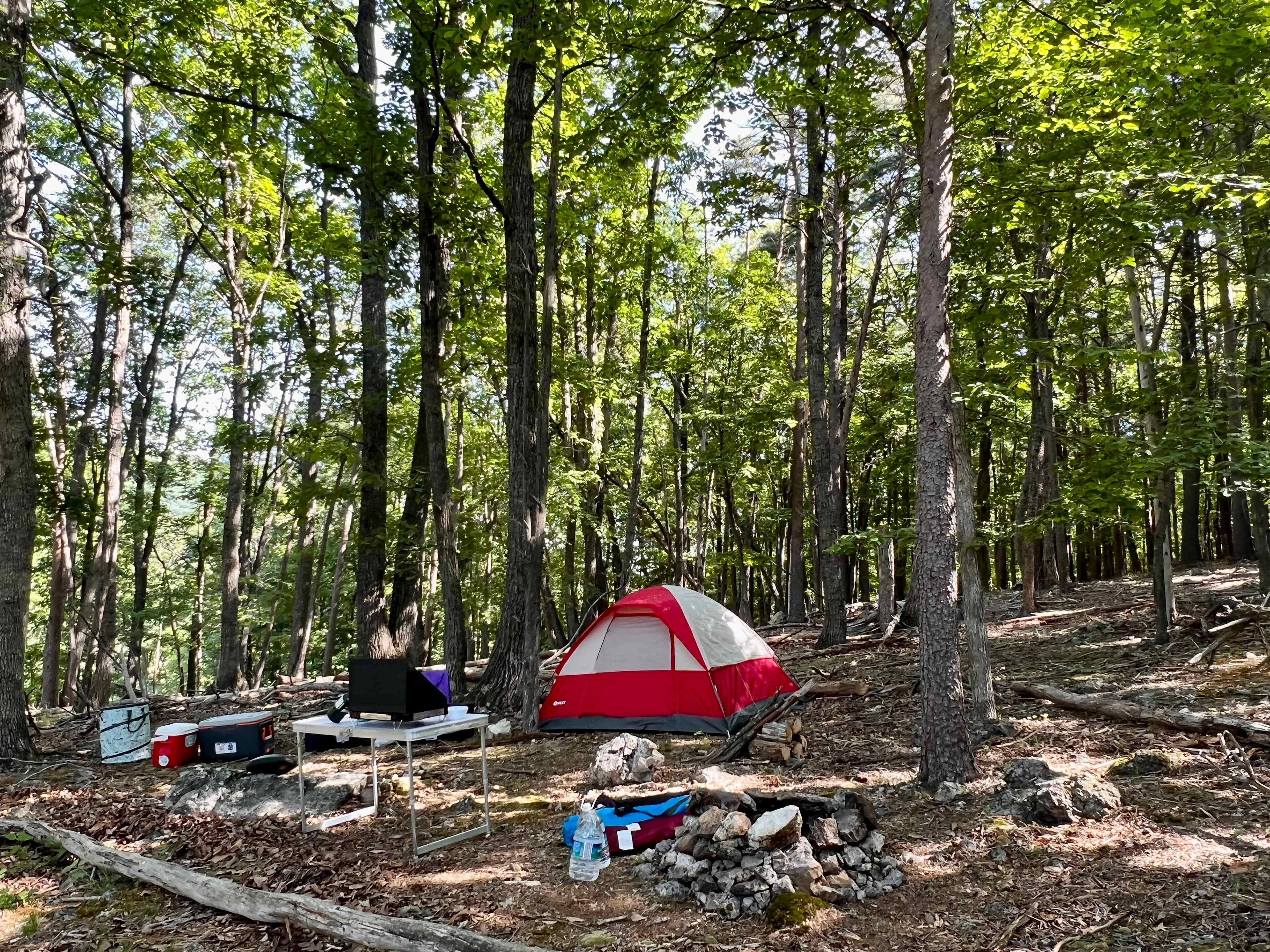 Picture of the site