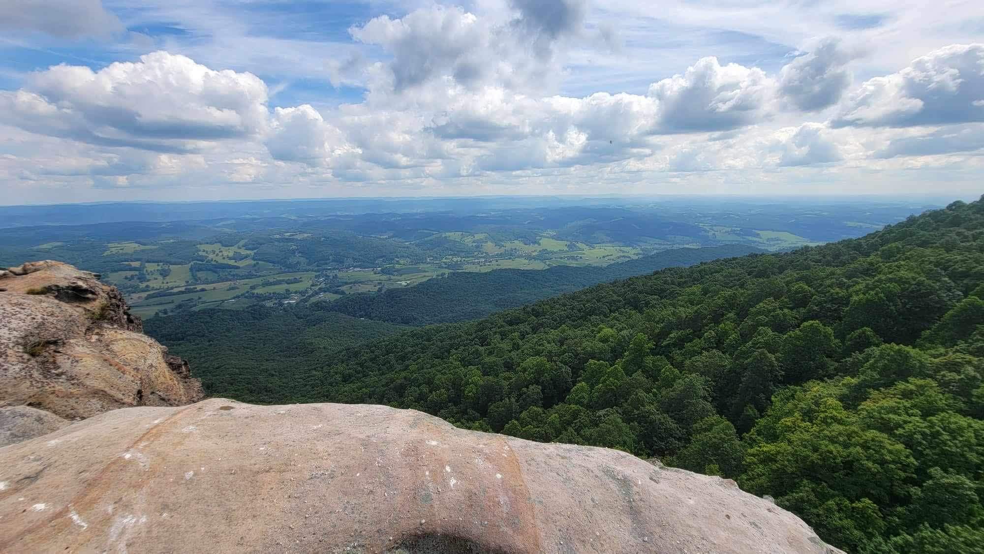 Picture of the site