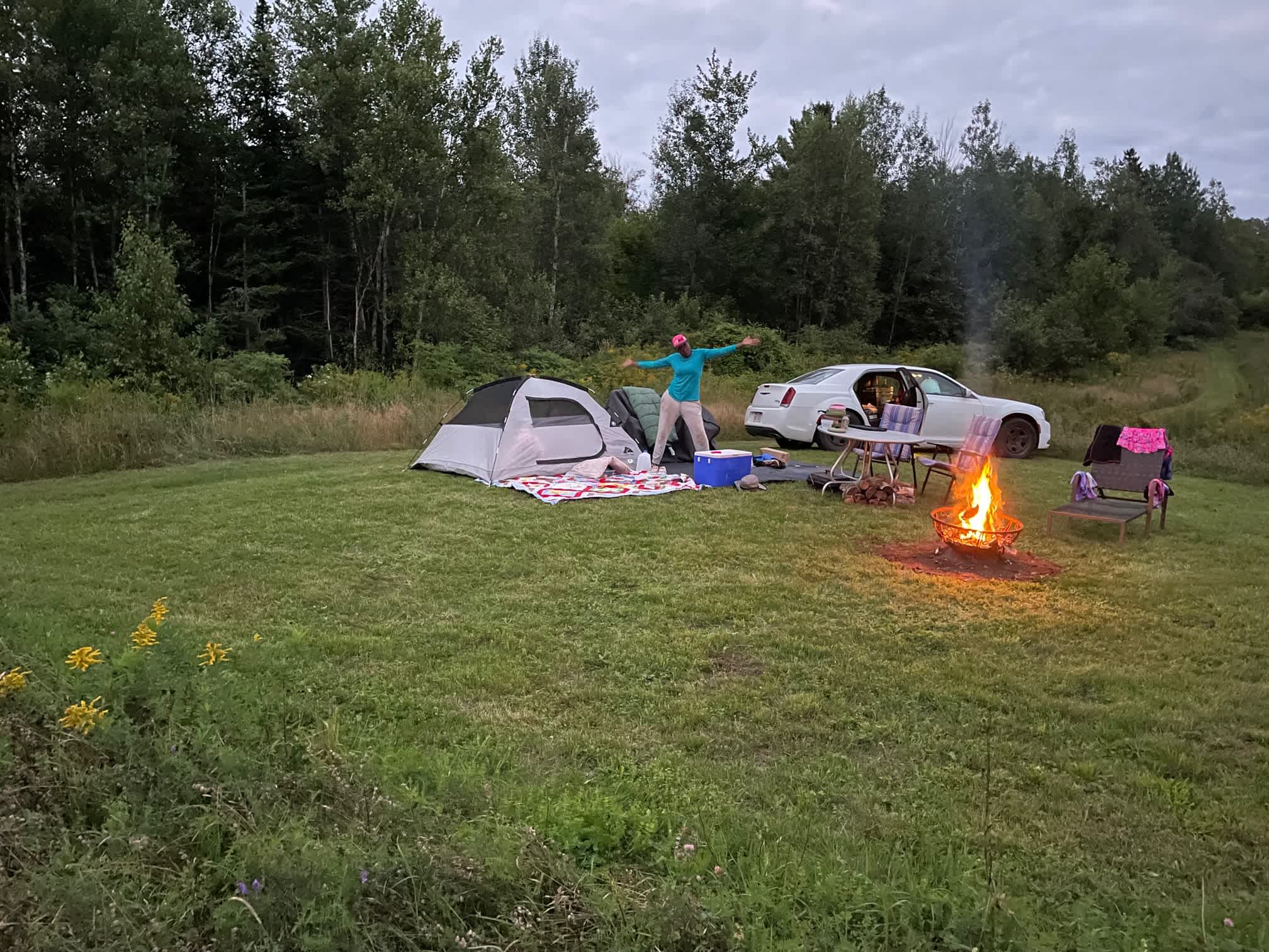 Picture of the site