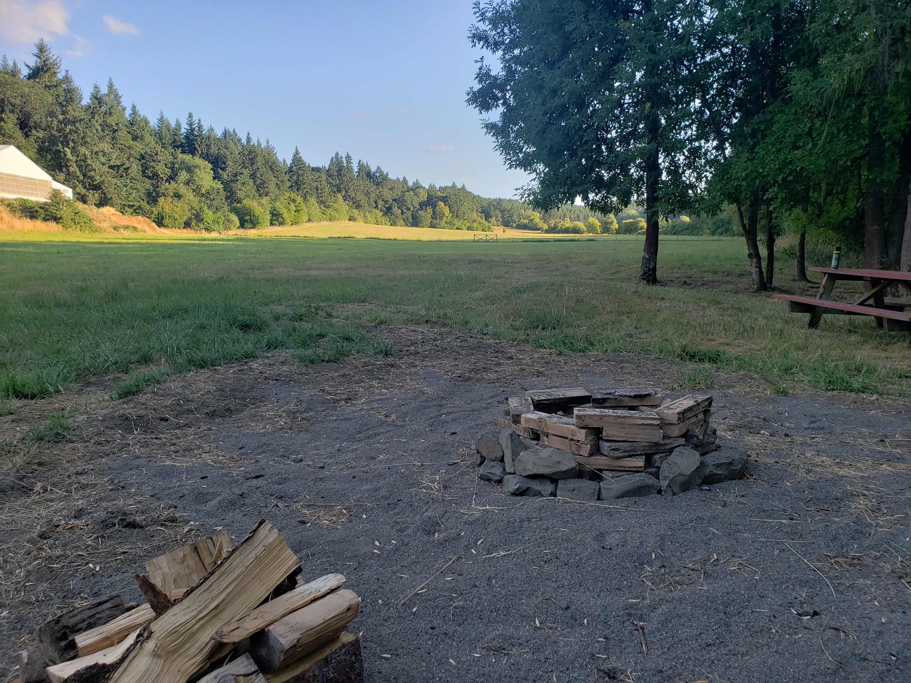 Picture of the site