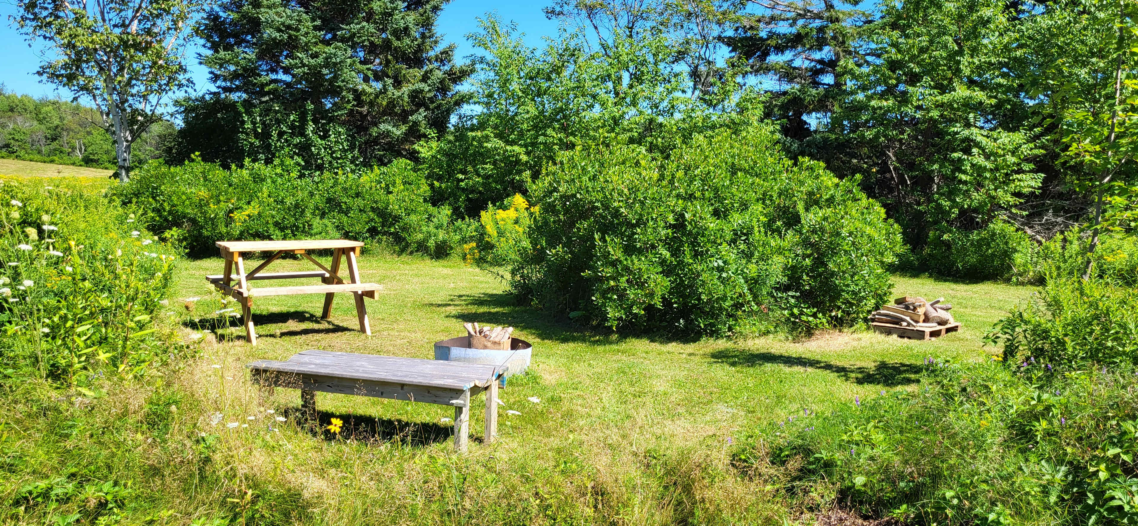 Picture of the site