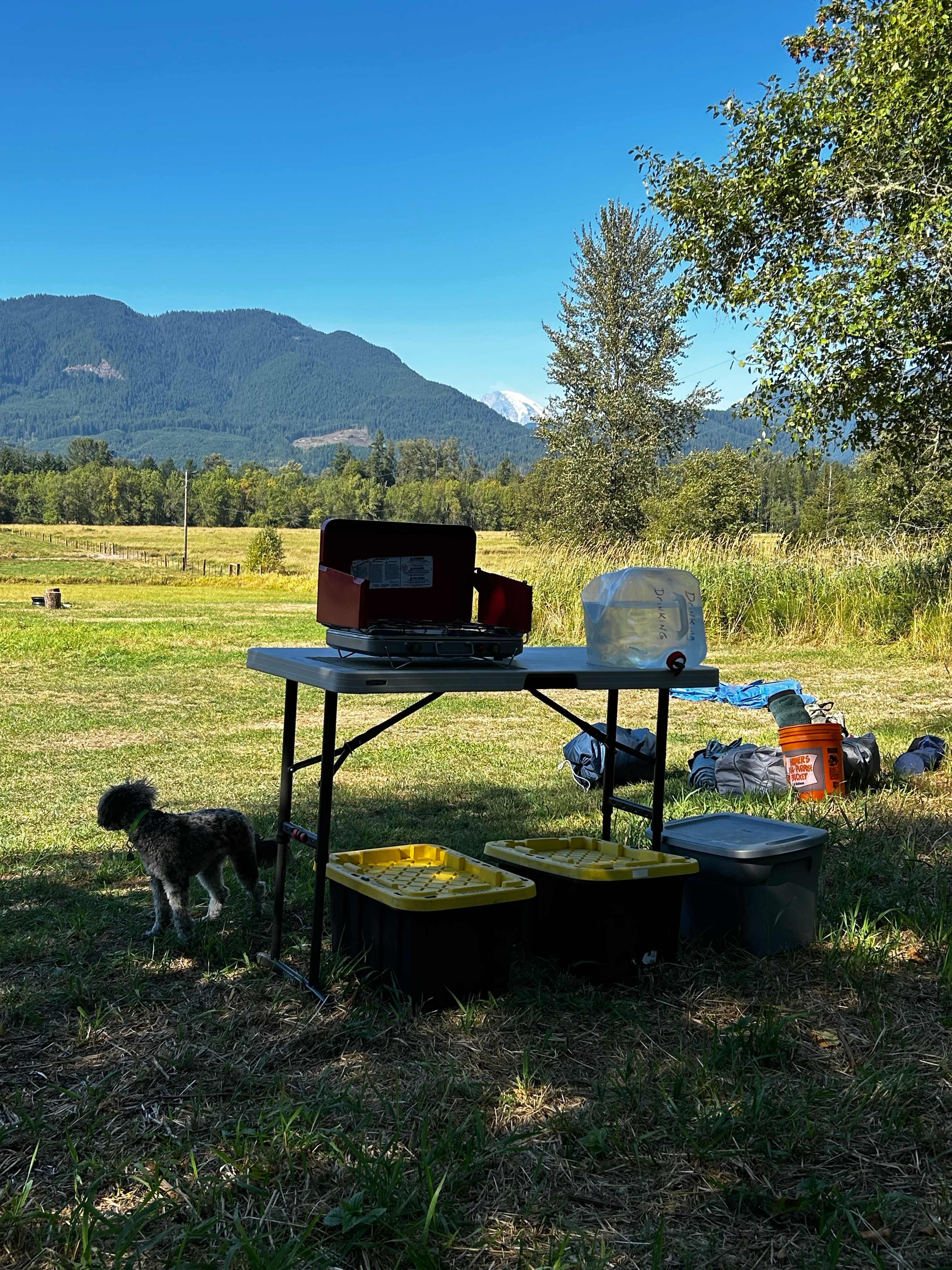 Picture of the site