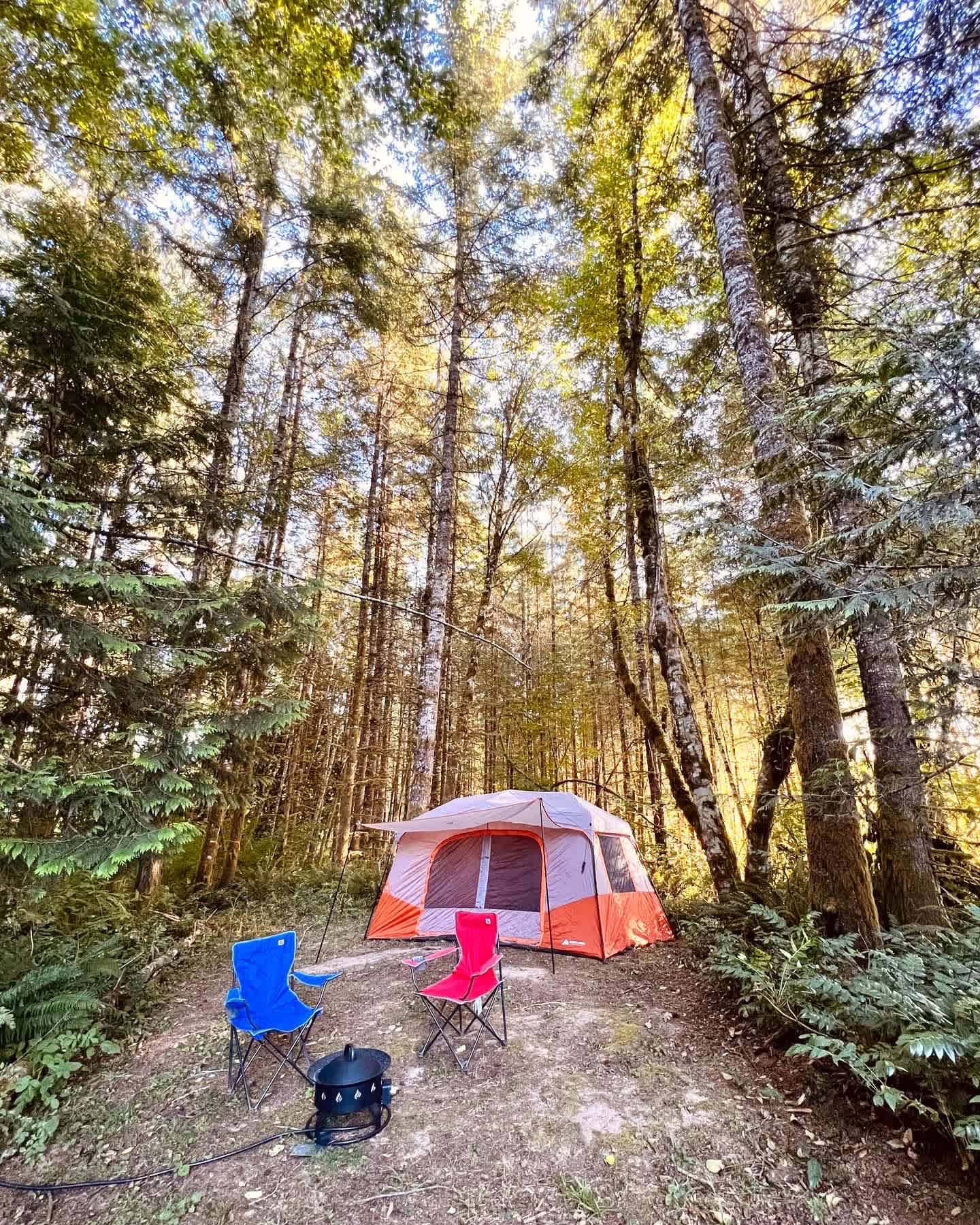 Secluded Tent Site in Trees