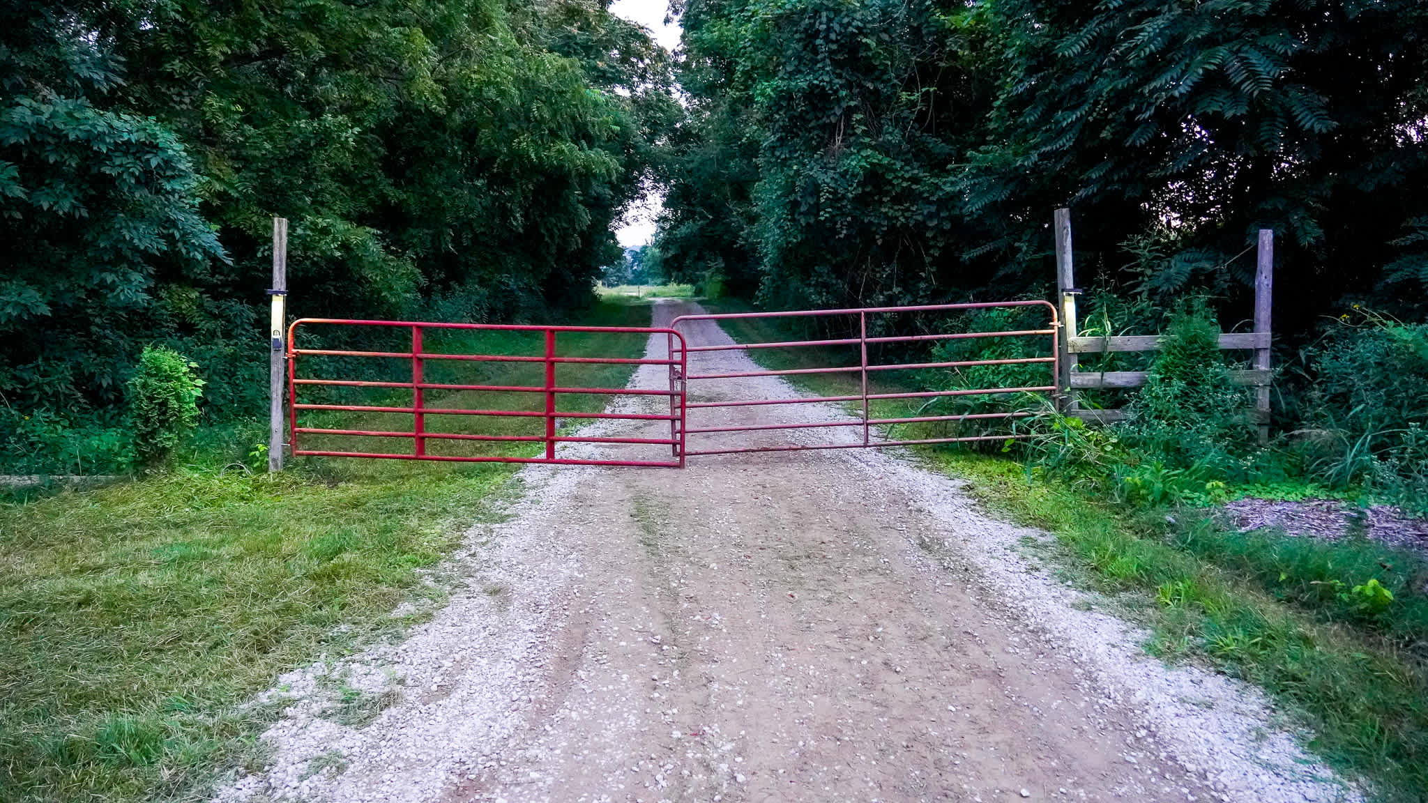 Front gravel driveway entrance with red metal gate. 