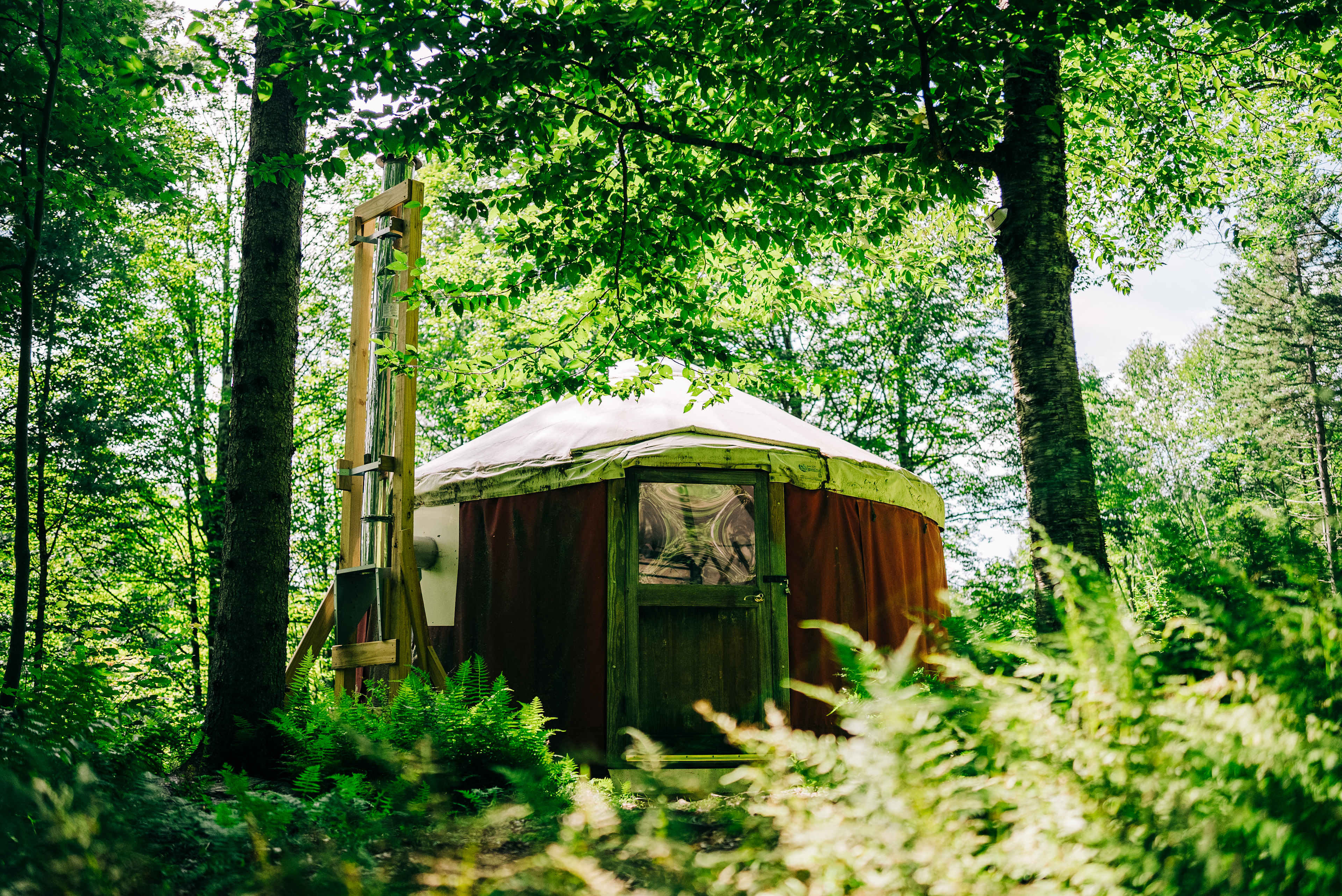 Fern Hollow