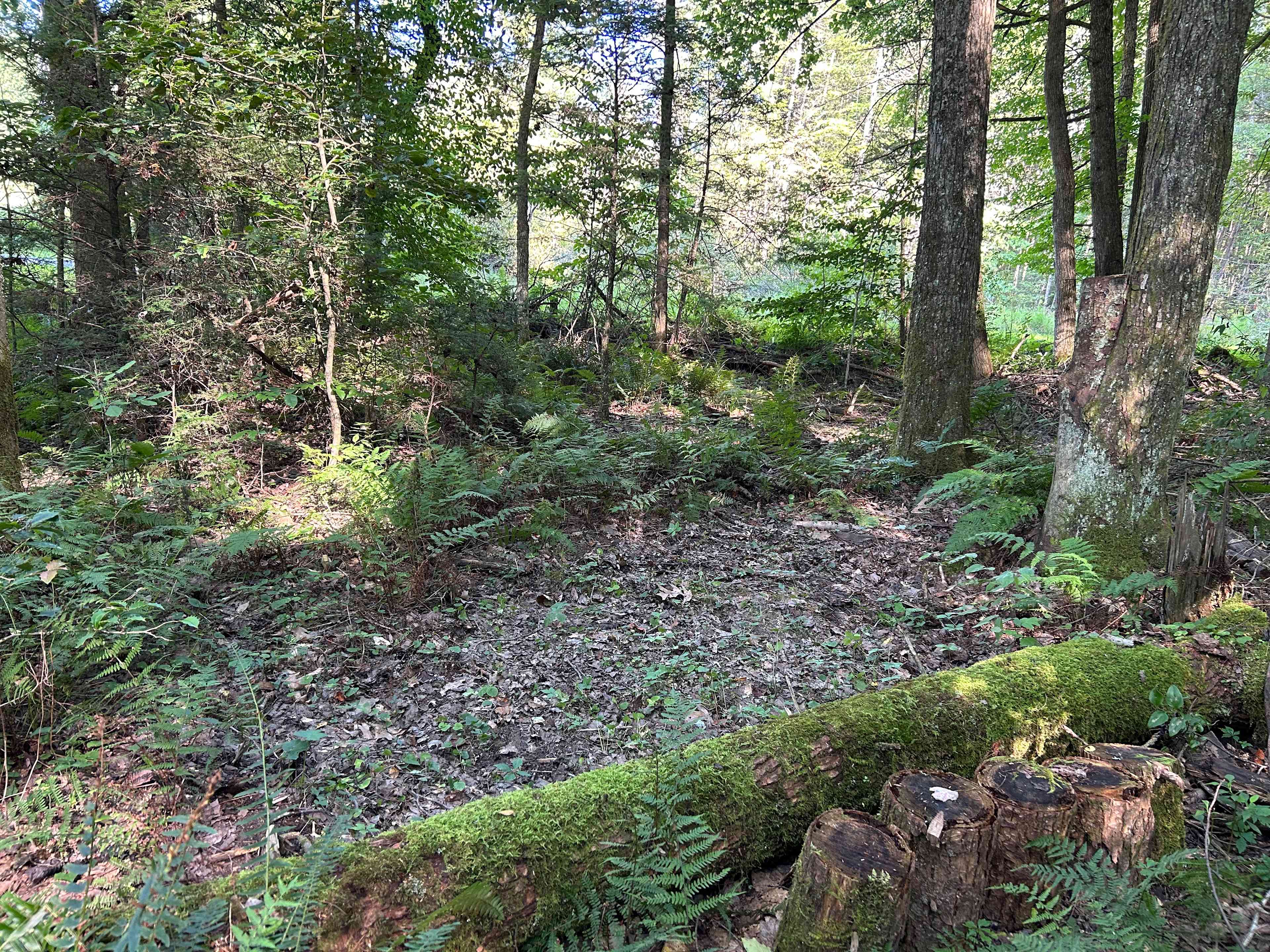 Flat tent site