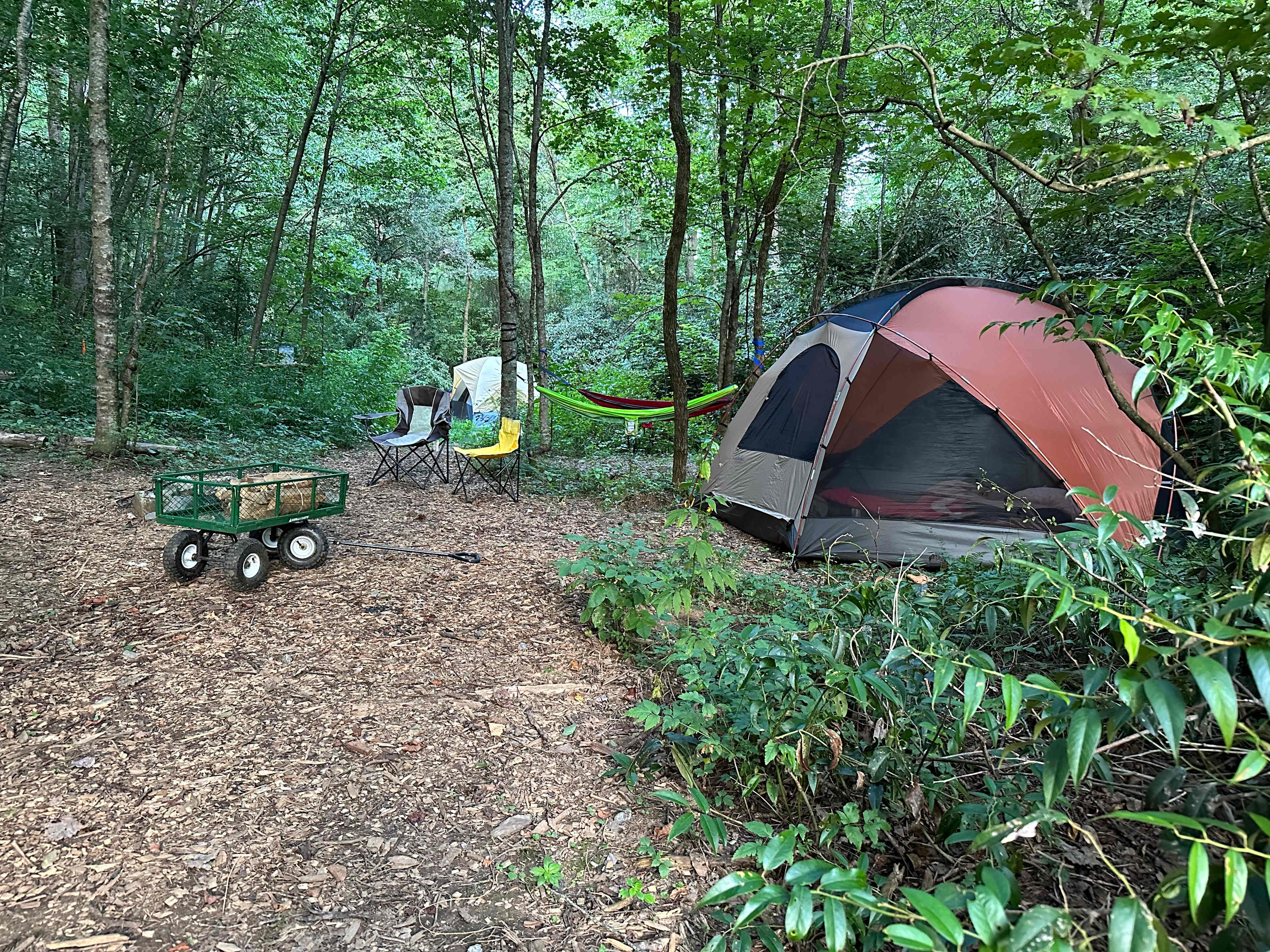 Picture of the site