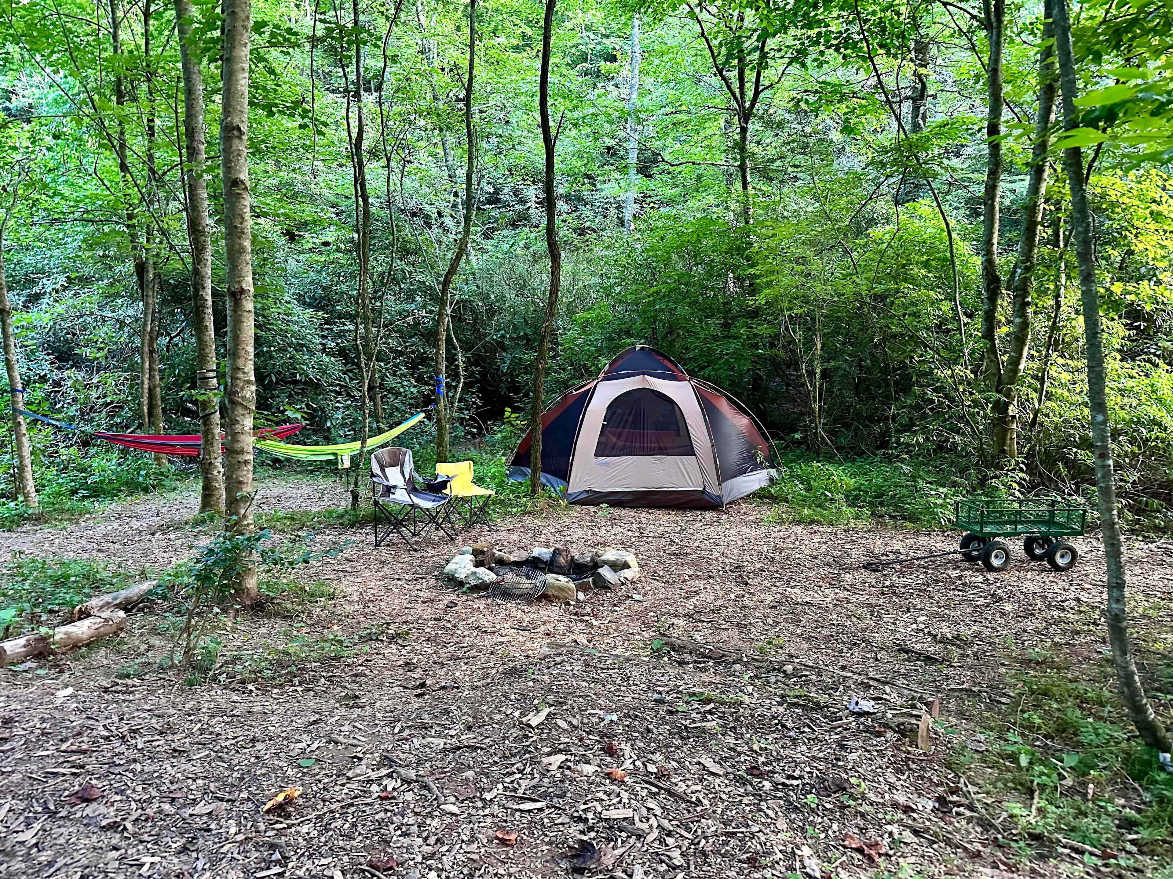 Picture of the site
