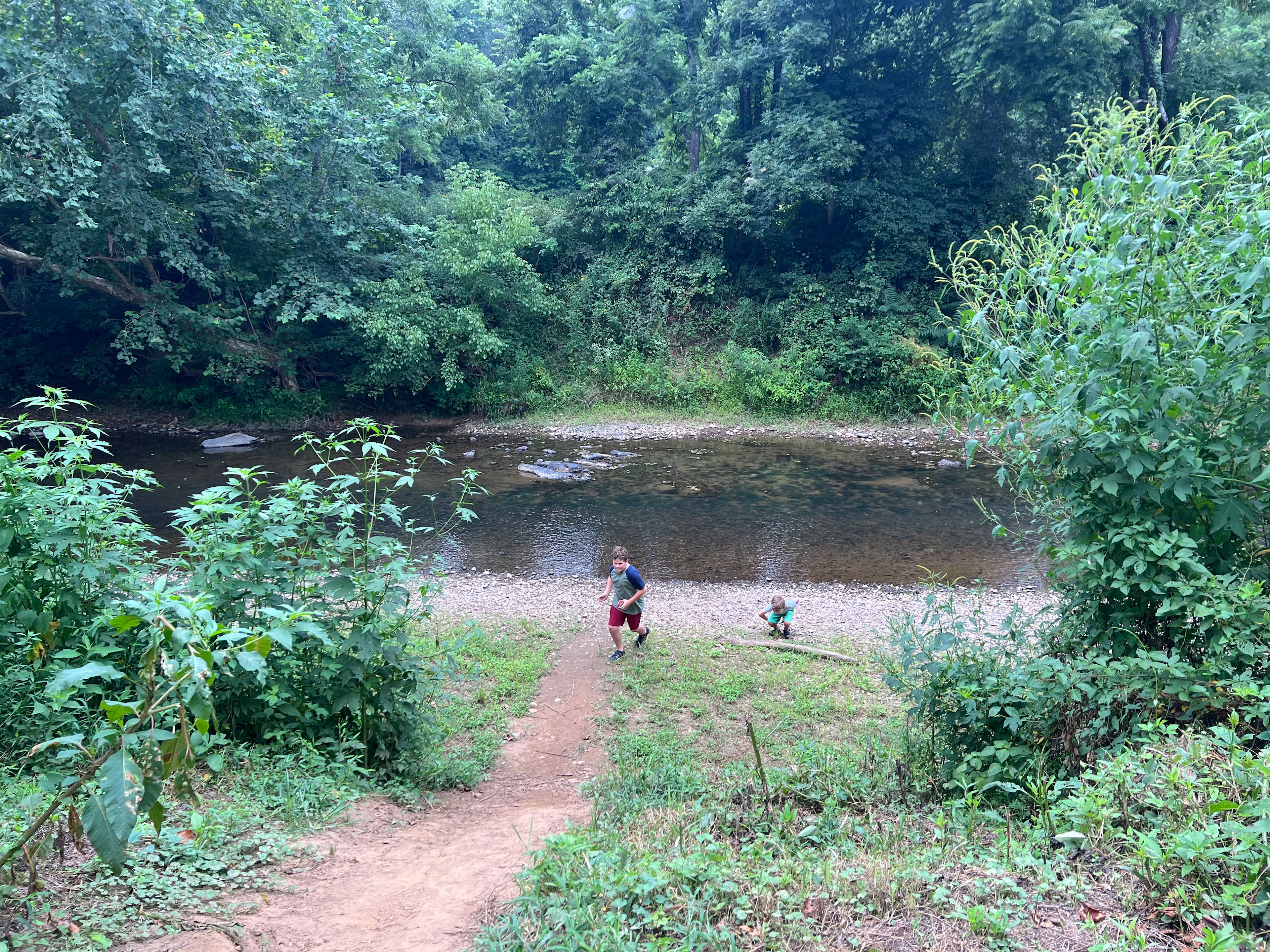 Picture of the site