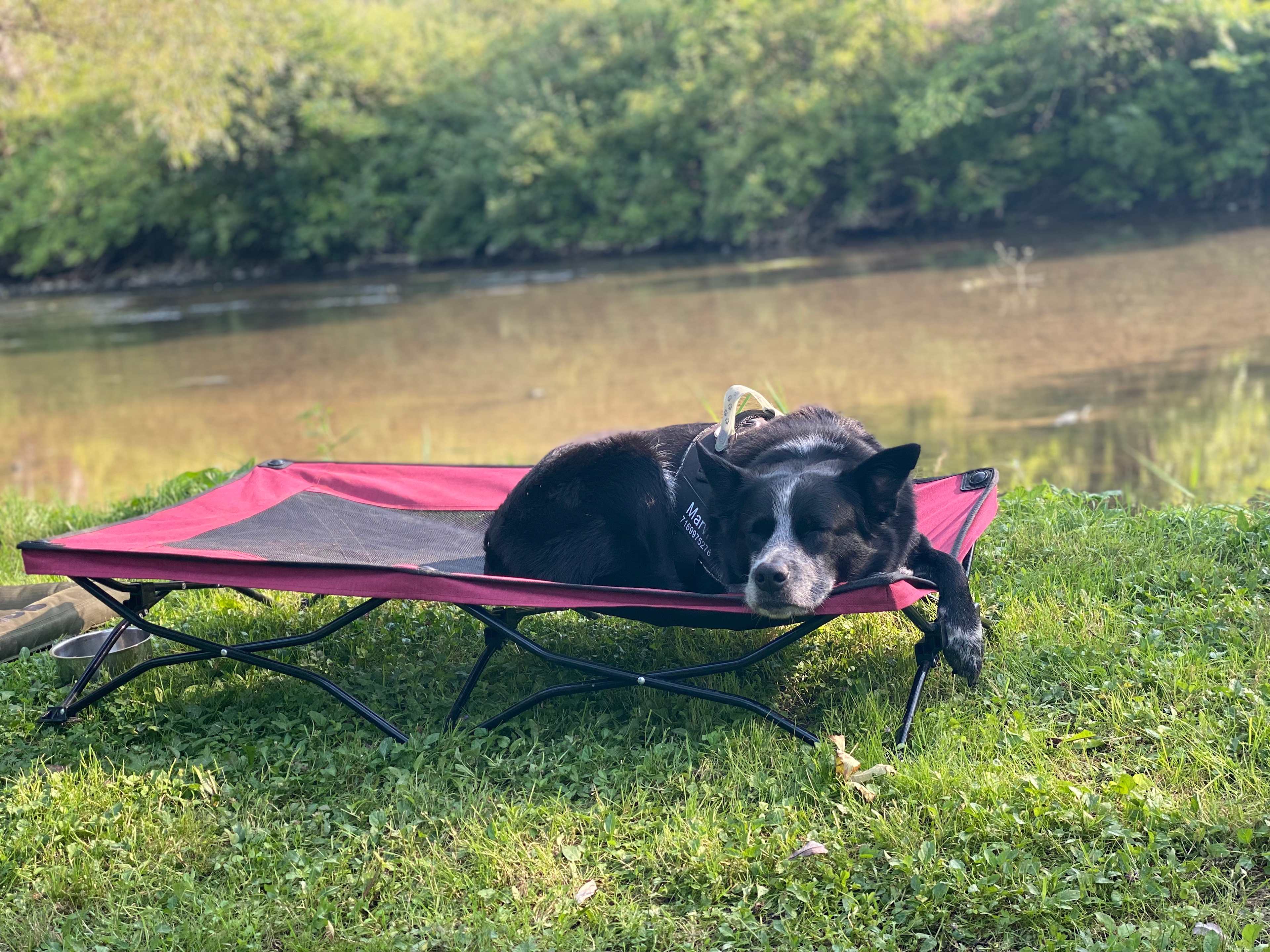 Campground Adventures