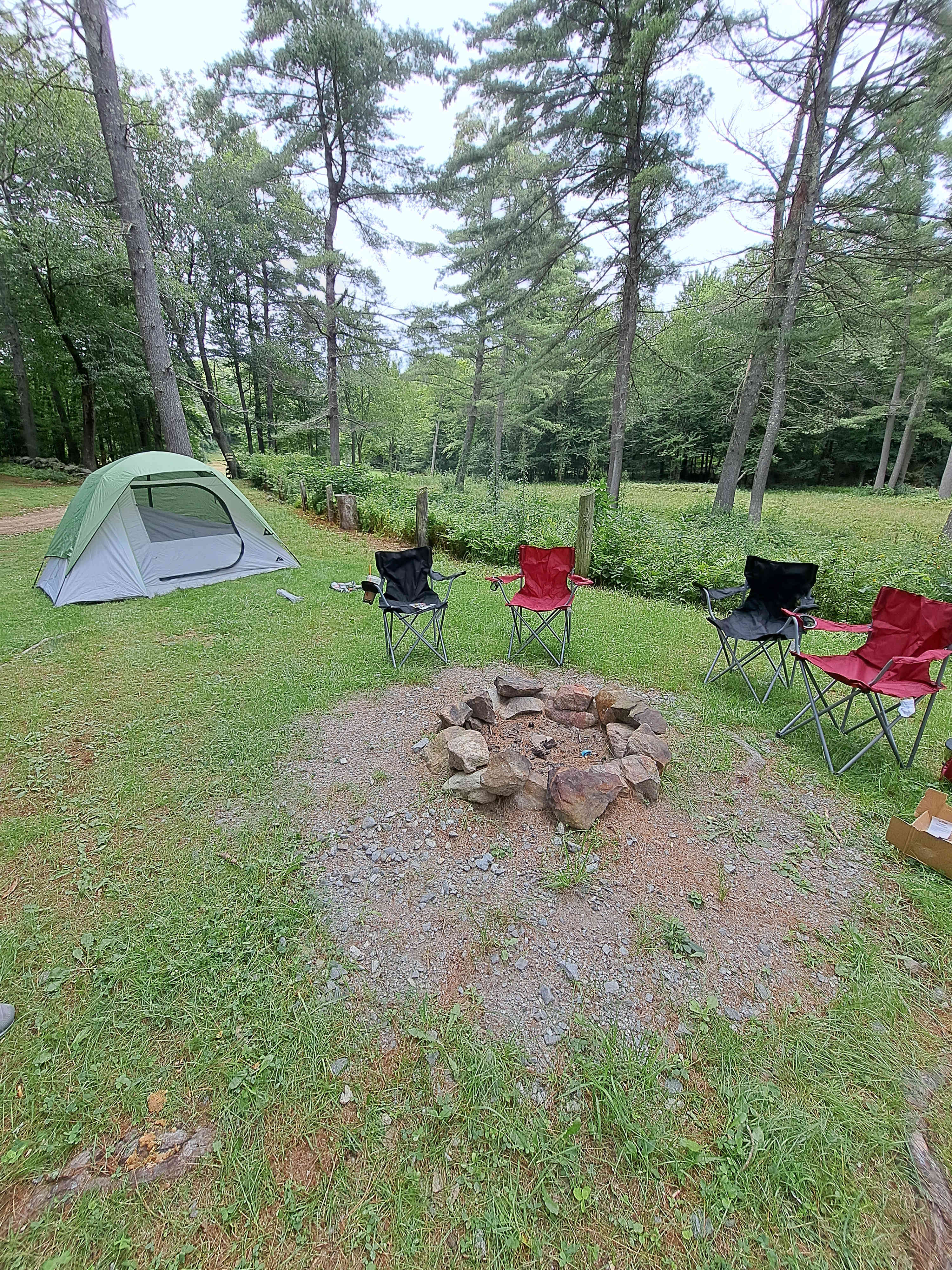 Picture of the site