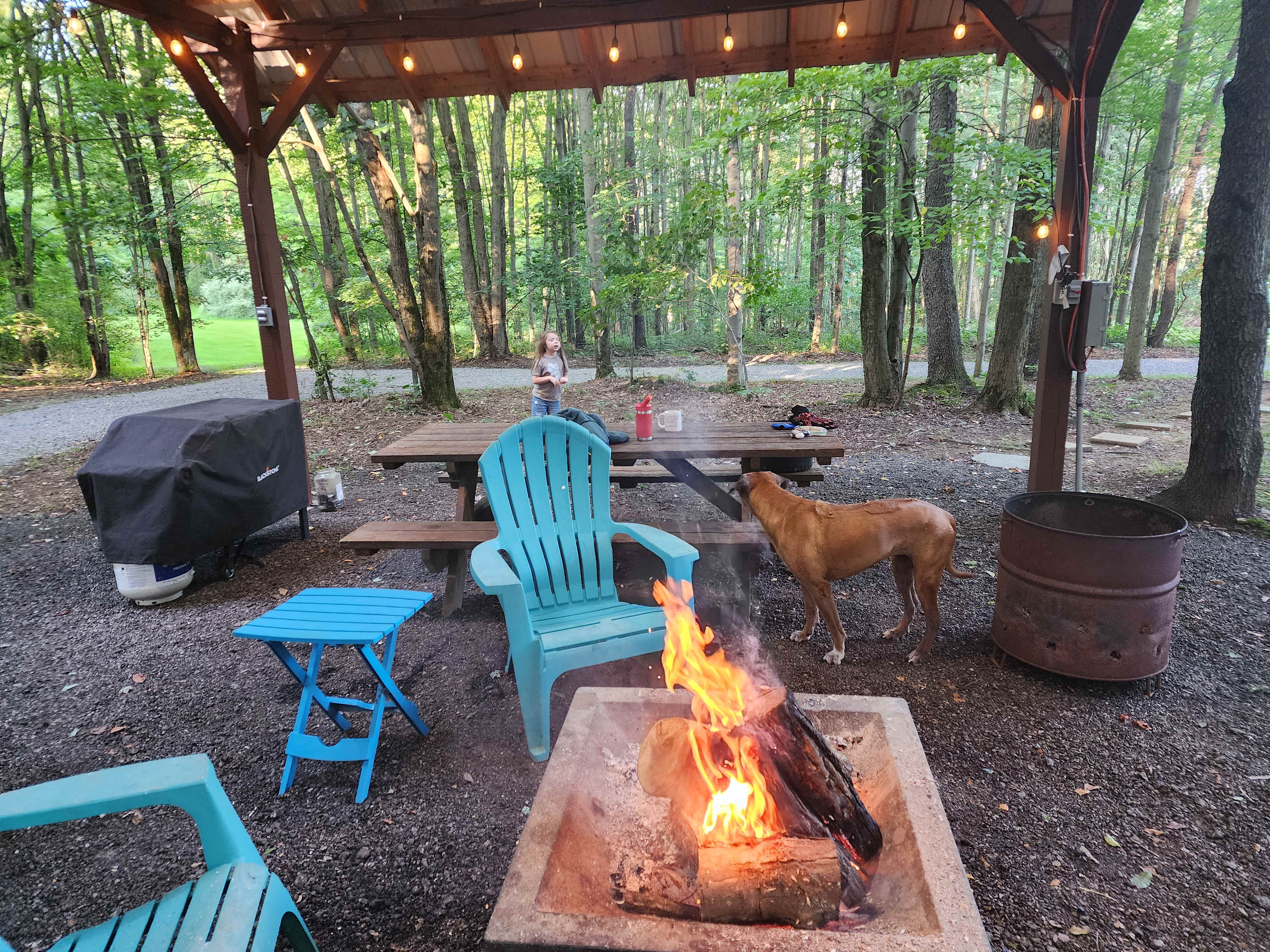 The Tiny Home