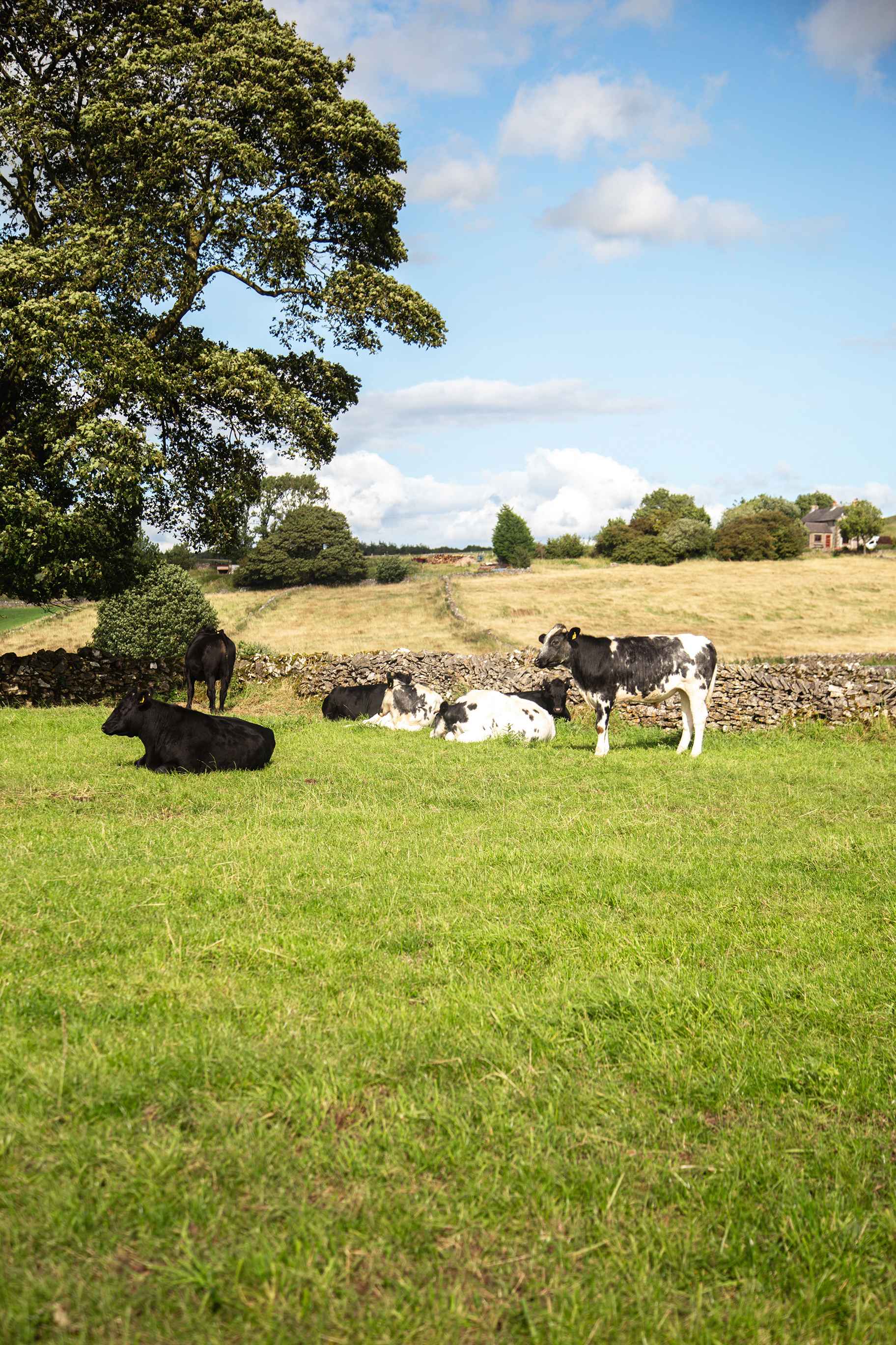Lots of animals to see whilst exploring the area!