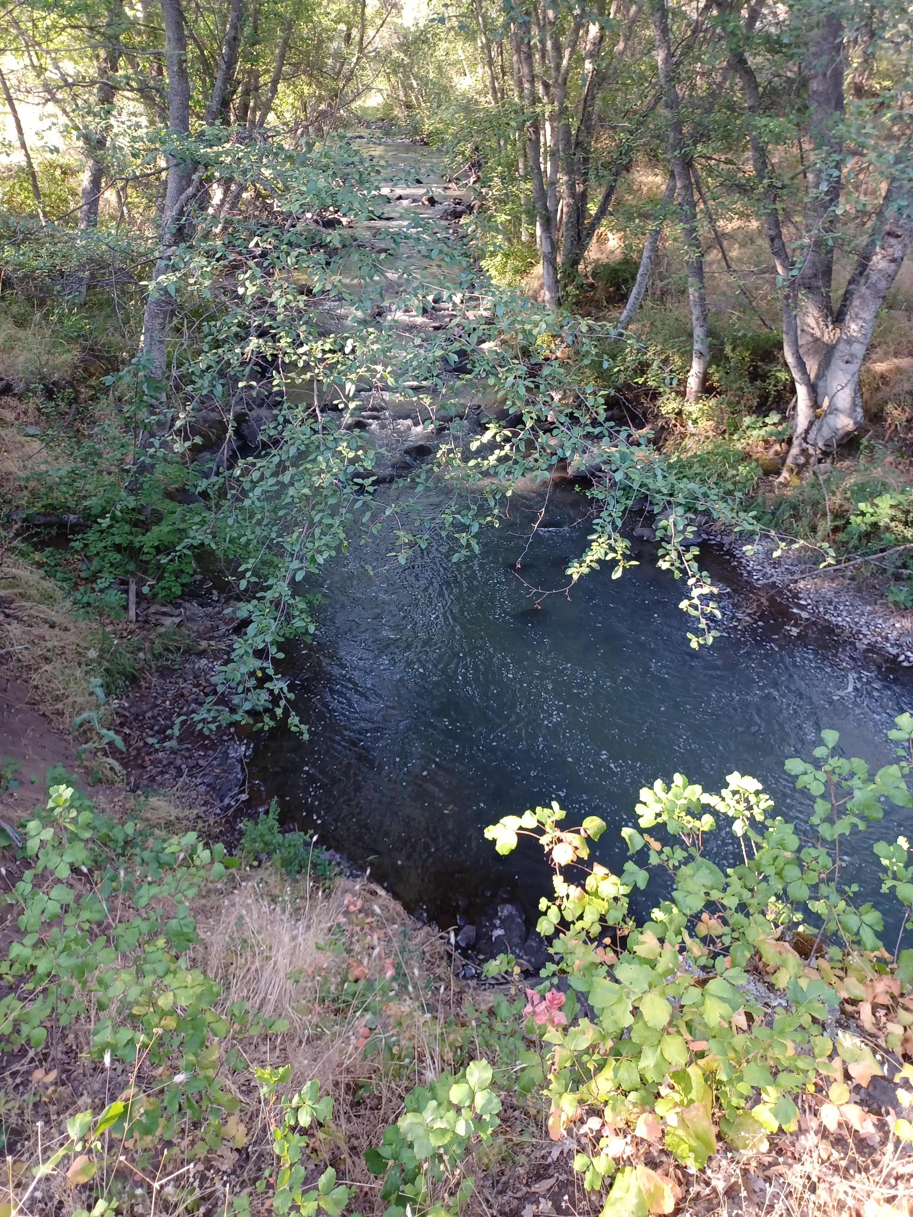 Emigrant Creek across the street