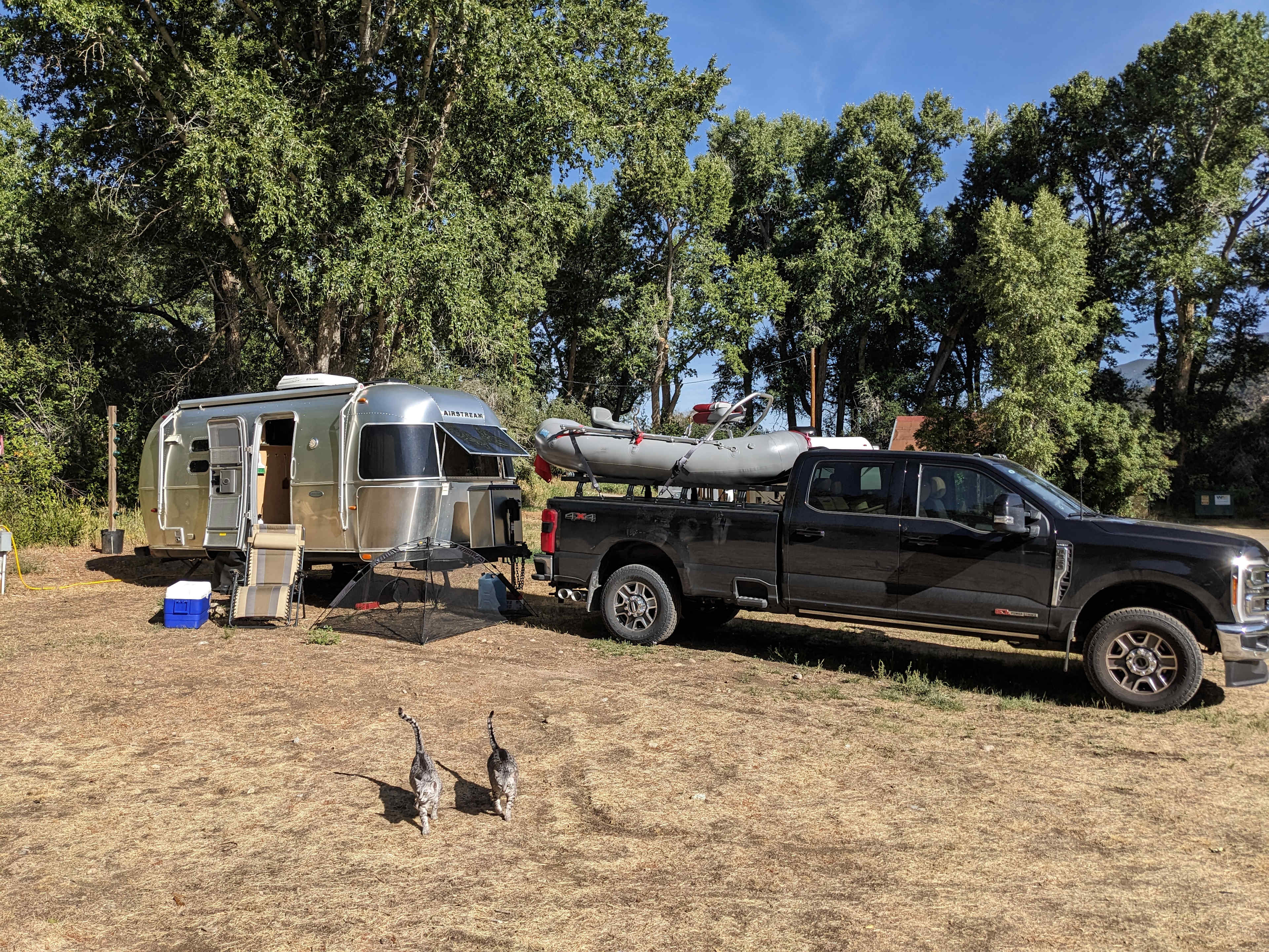 Spacious Site
