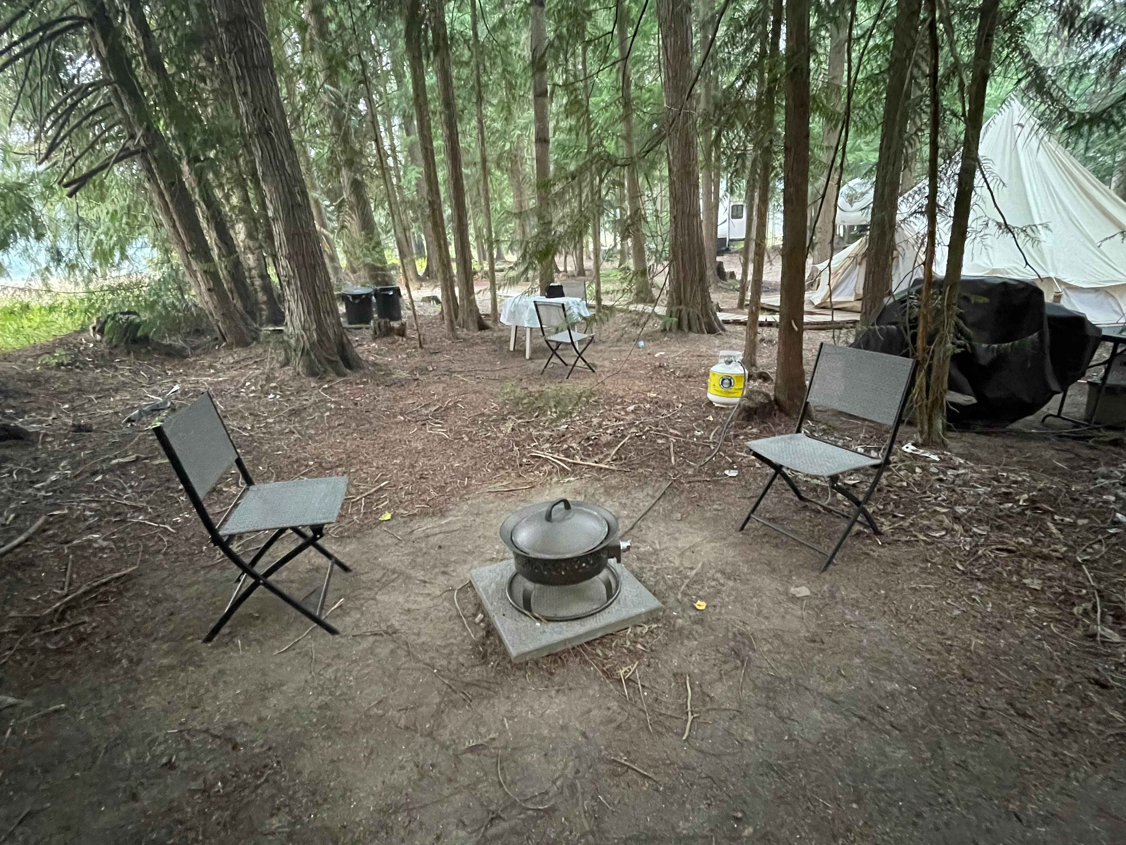 Picture of the site