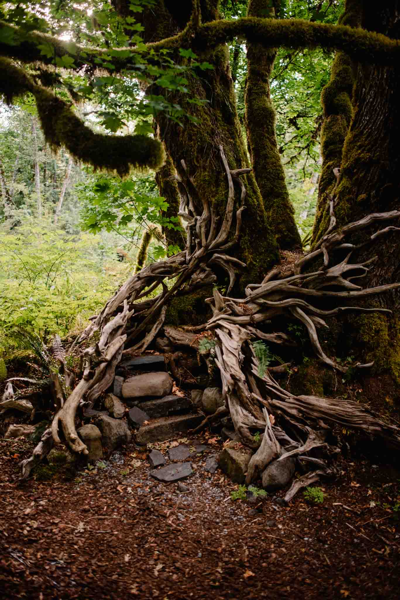 beautiful artwork near the enterance of one of the campsites