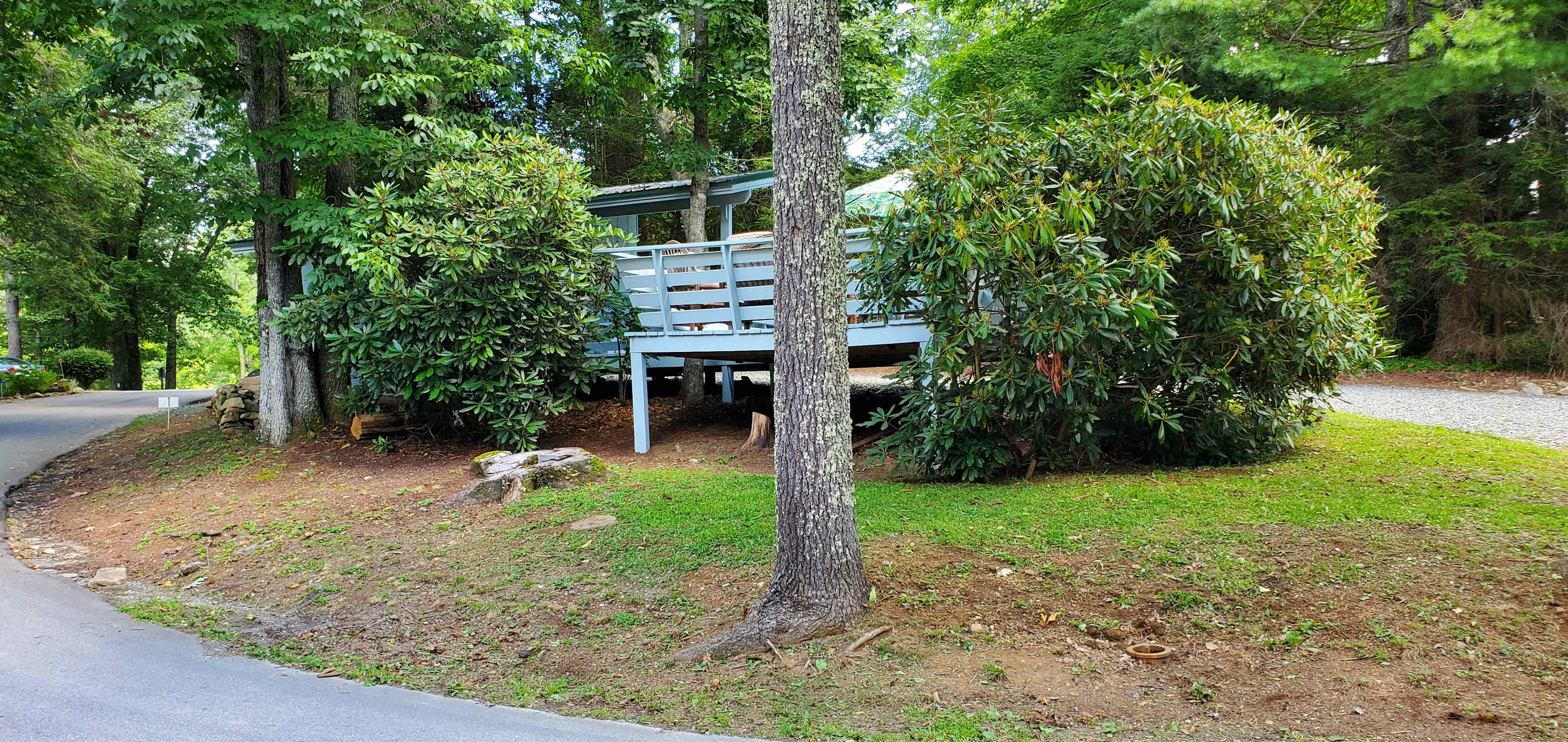 Corner Pine