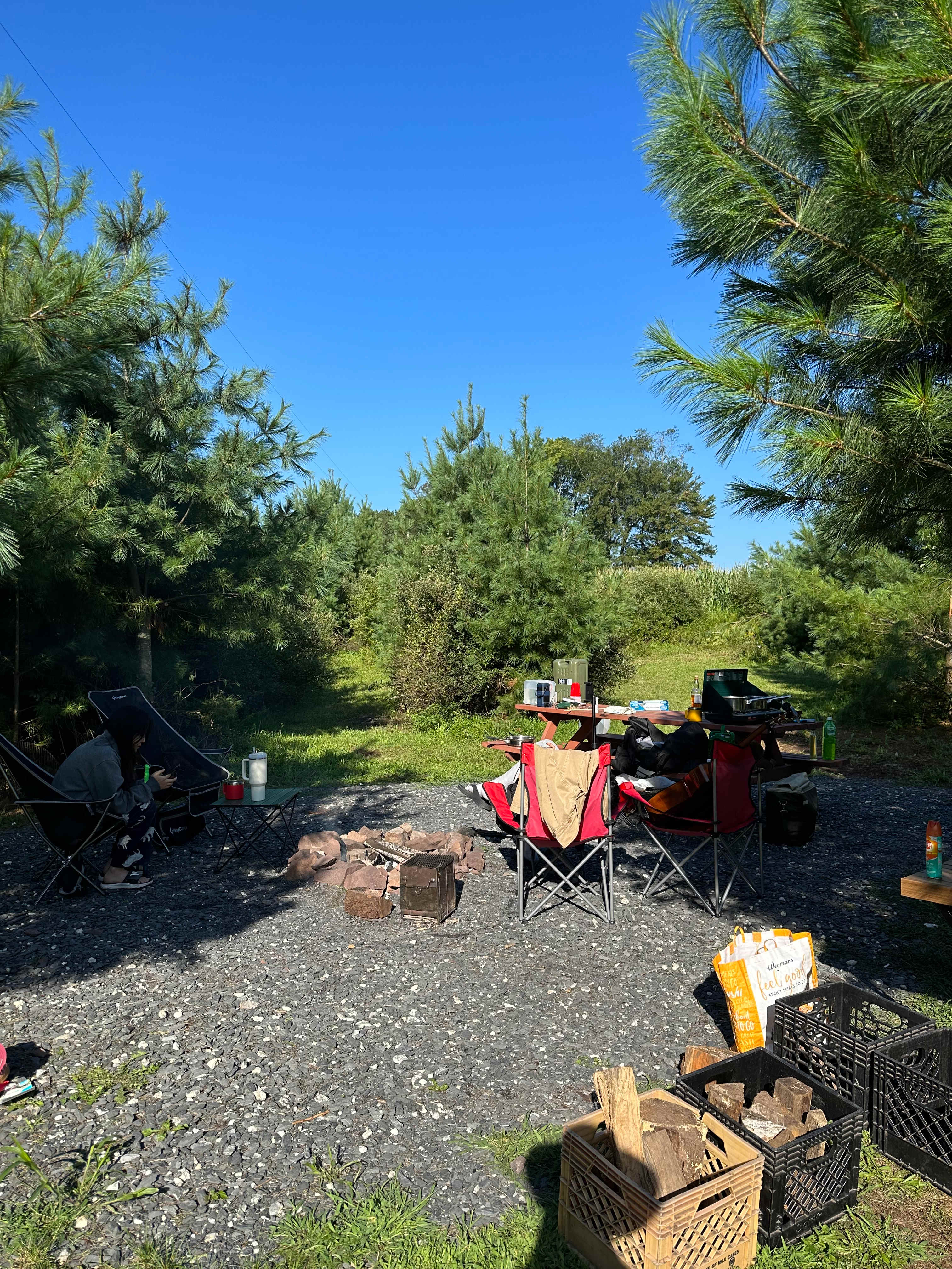 Picture of the site