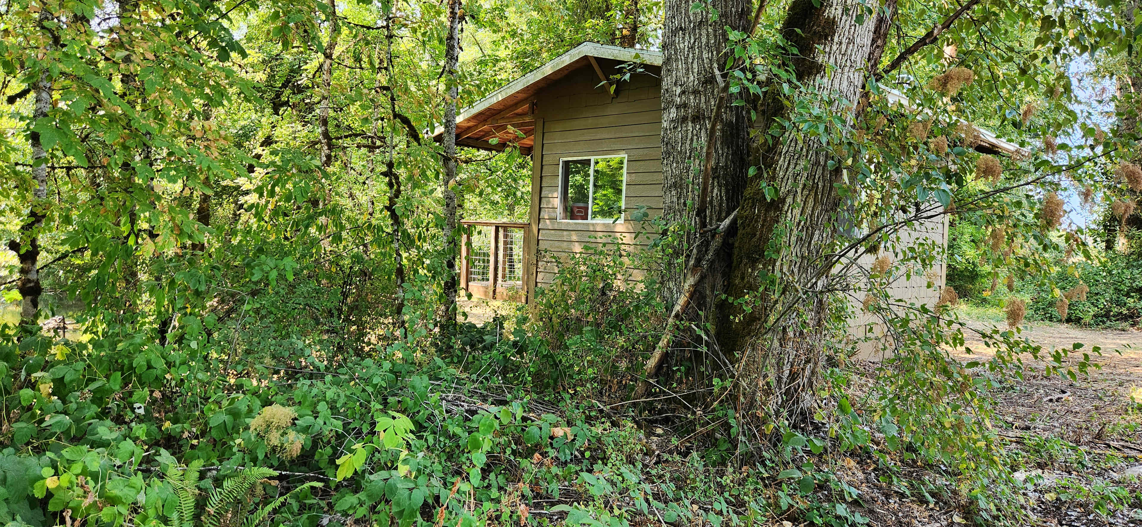 Santiam Serenity
