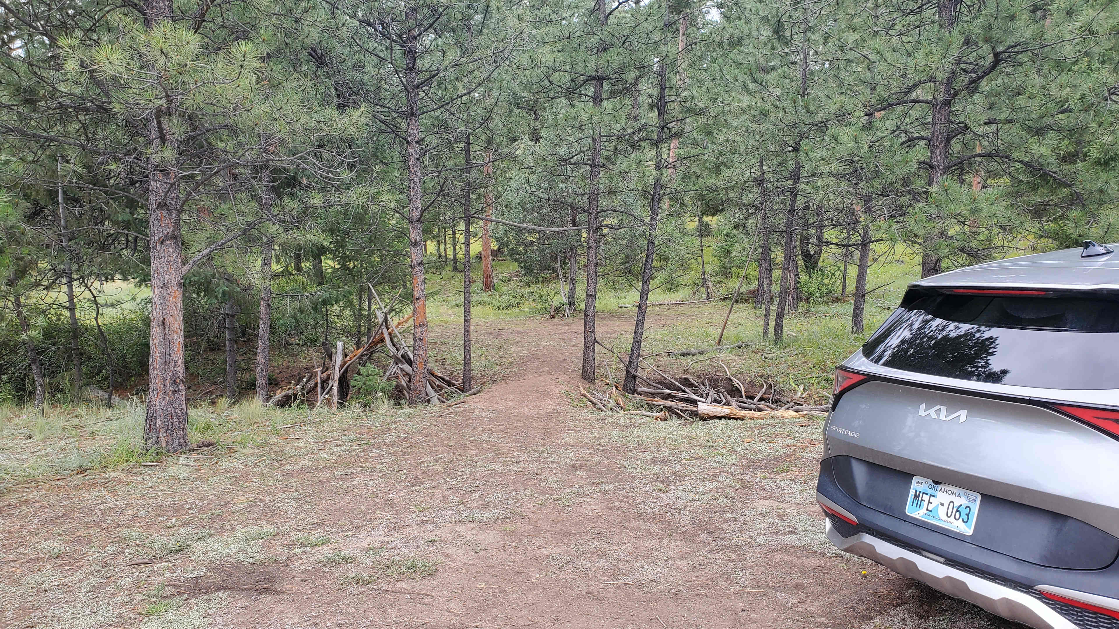 Picture of the site