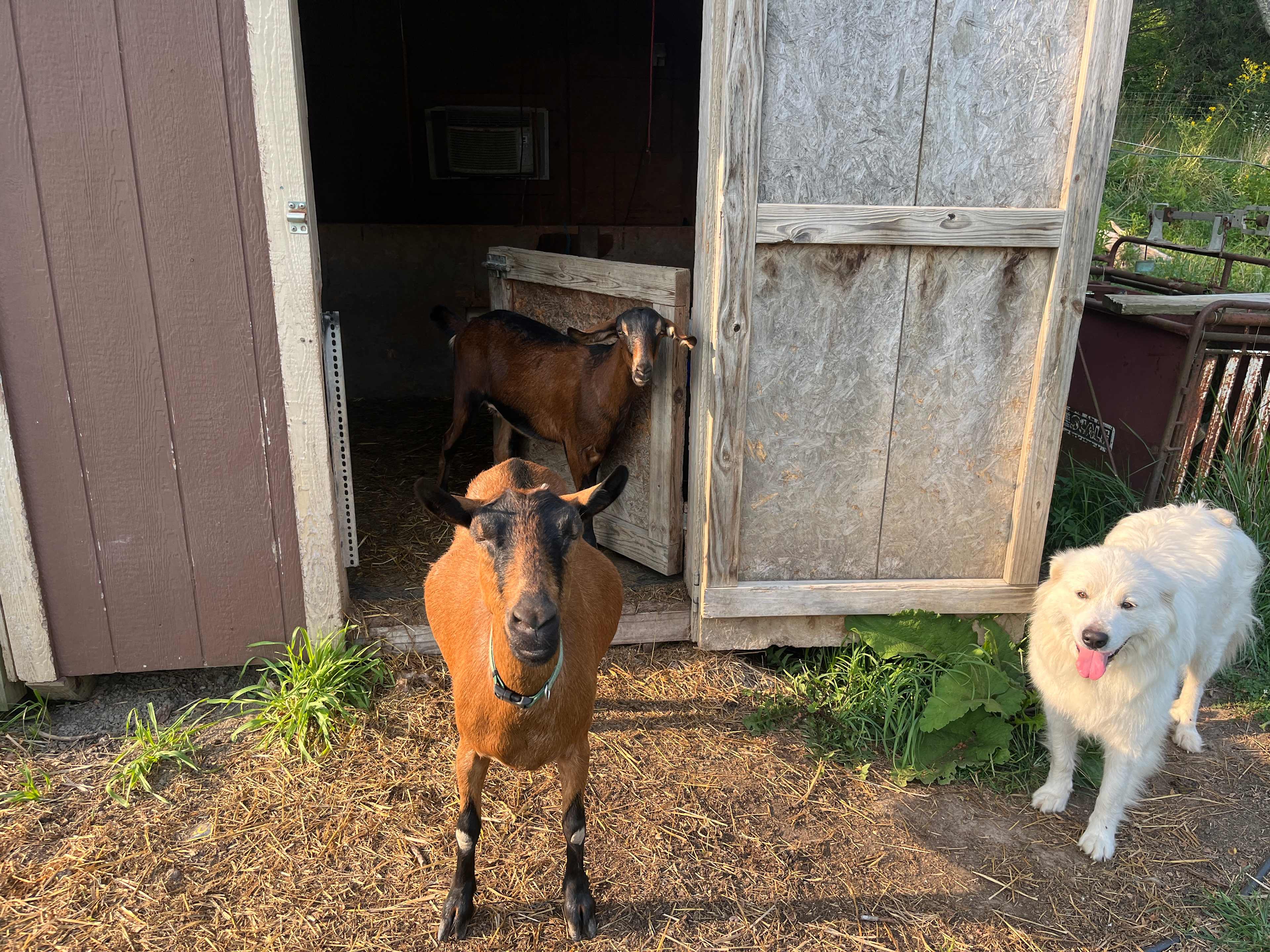 Salt Creek Camp at Sunnyvale Farm