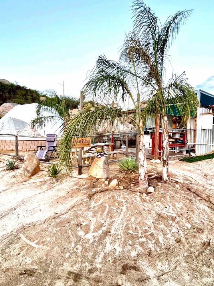 Picture of the site