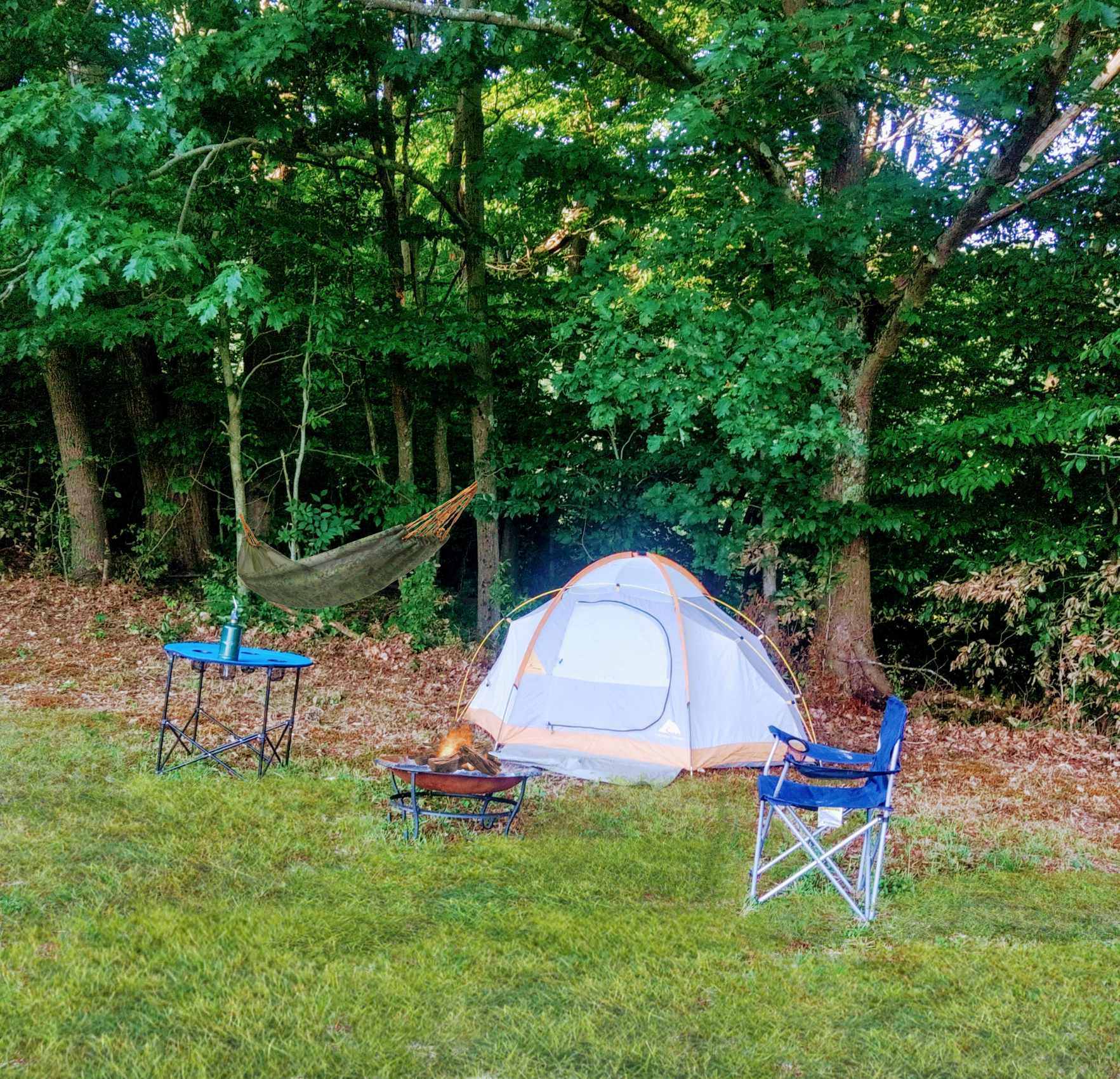 Picture of the site