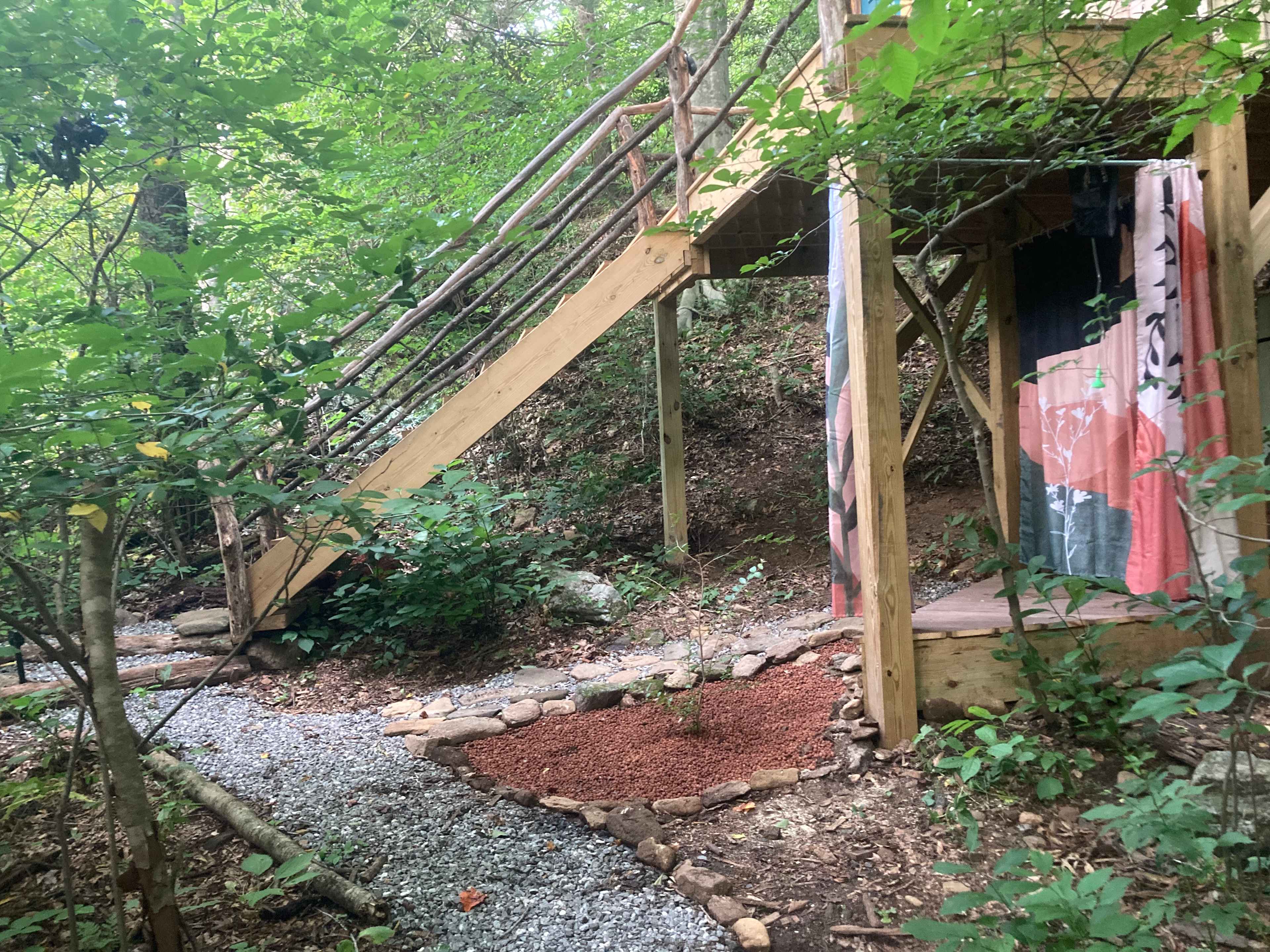 Picture of the site