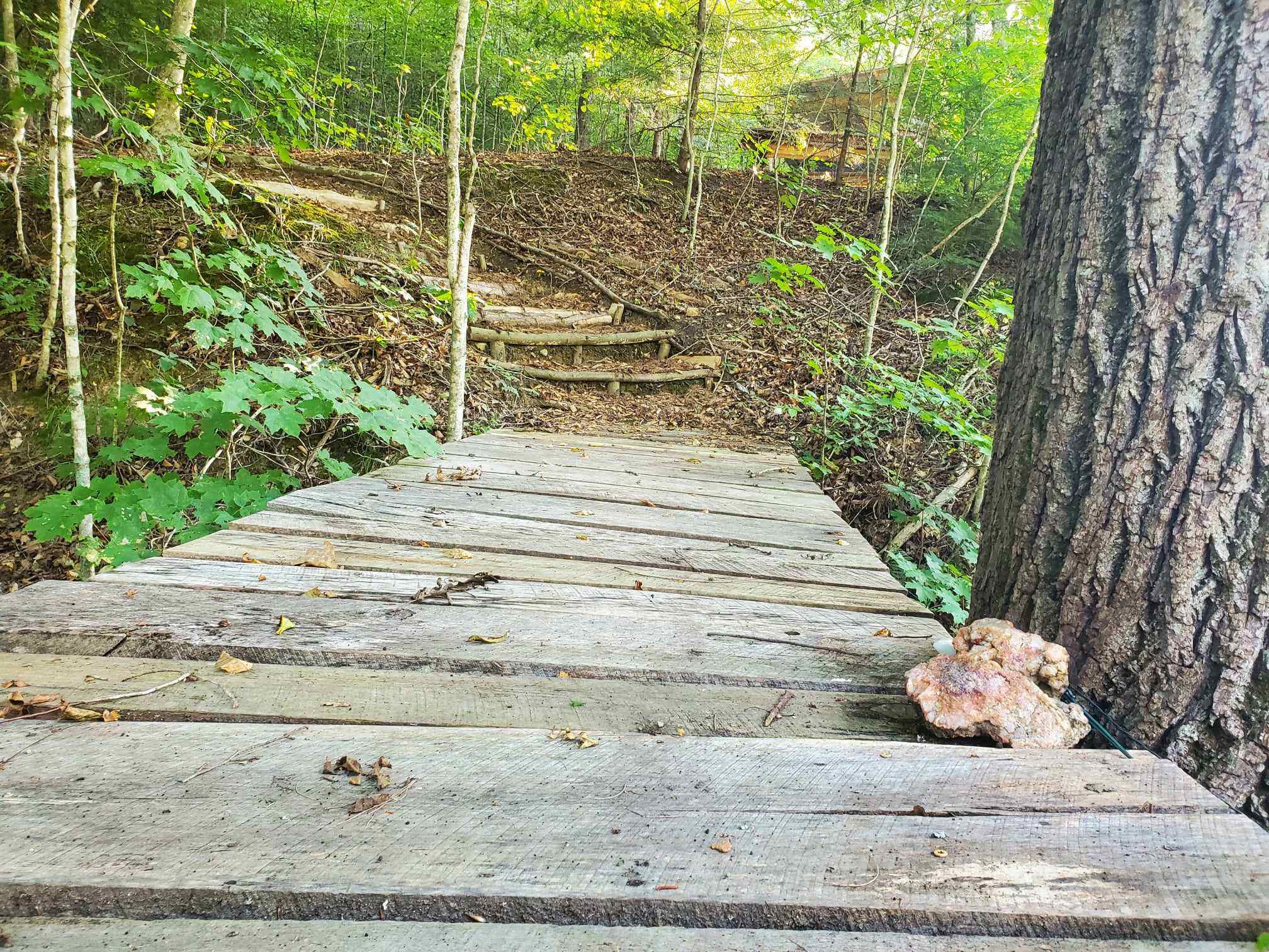 Walk the footbridge over the creek, and up the stairway to your retreat