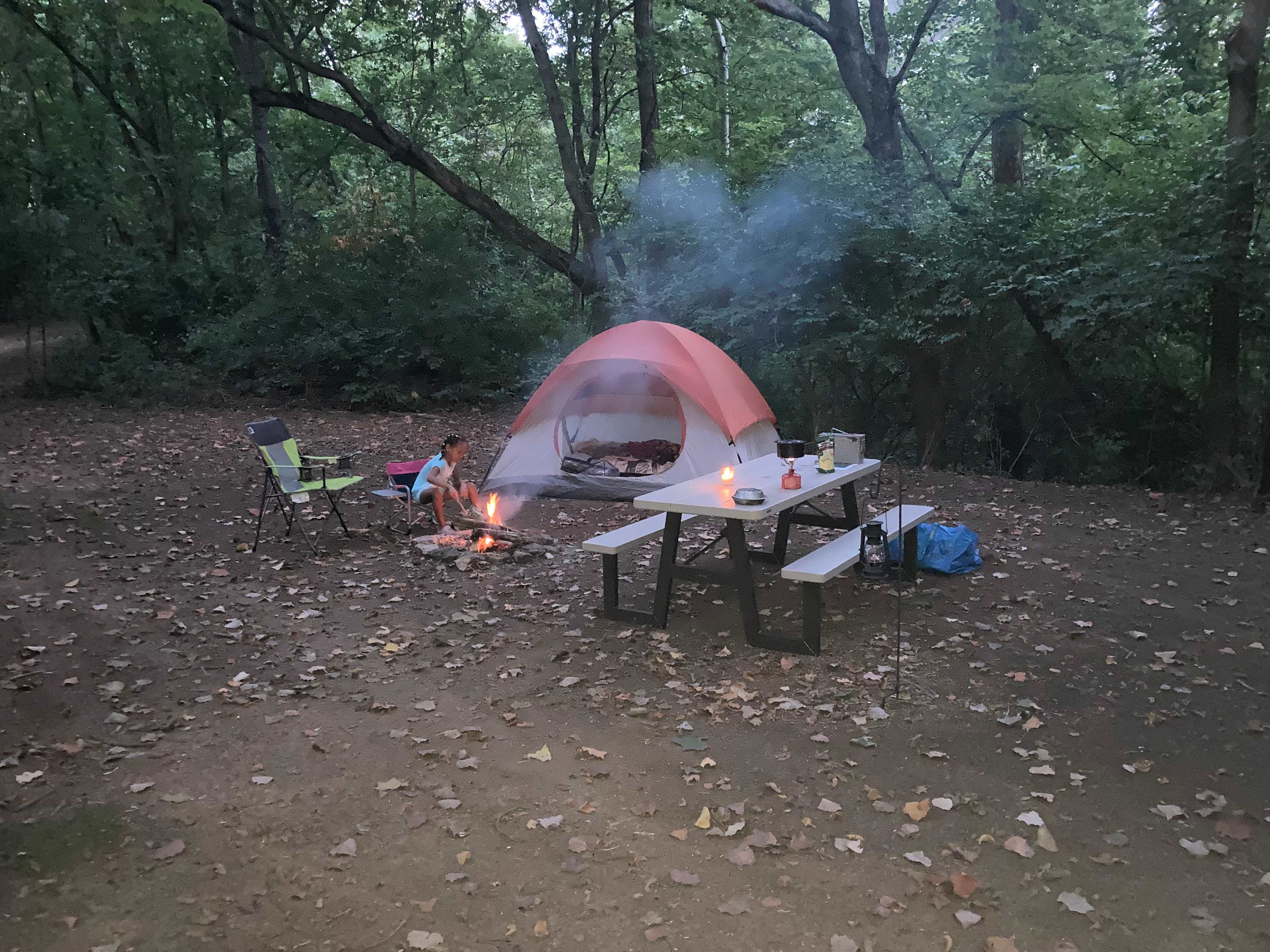Picture of the site