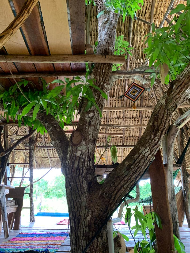 This is not the camp site! This is the tree house for rent on the property. 