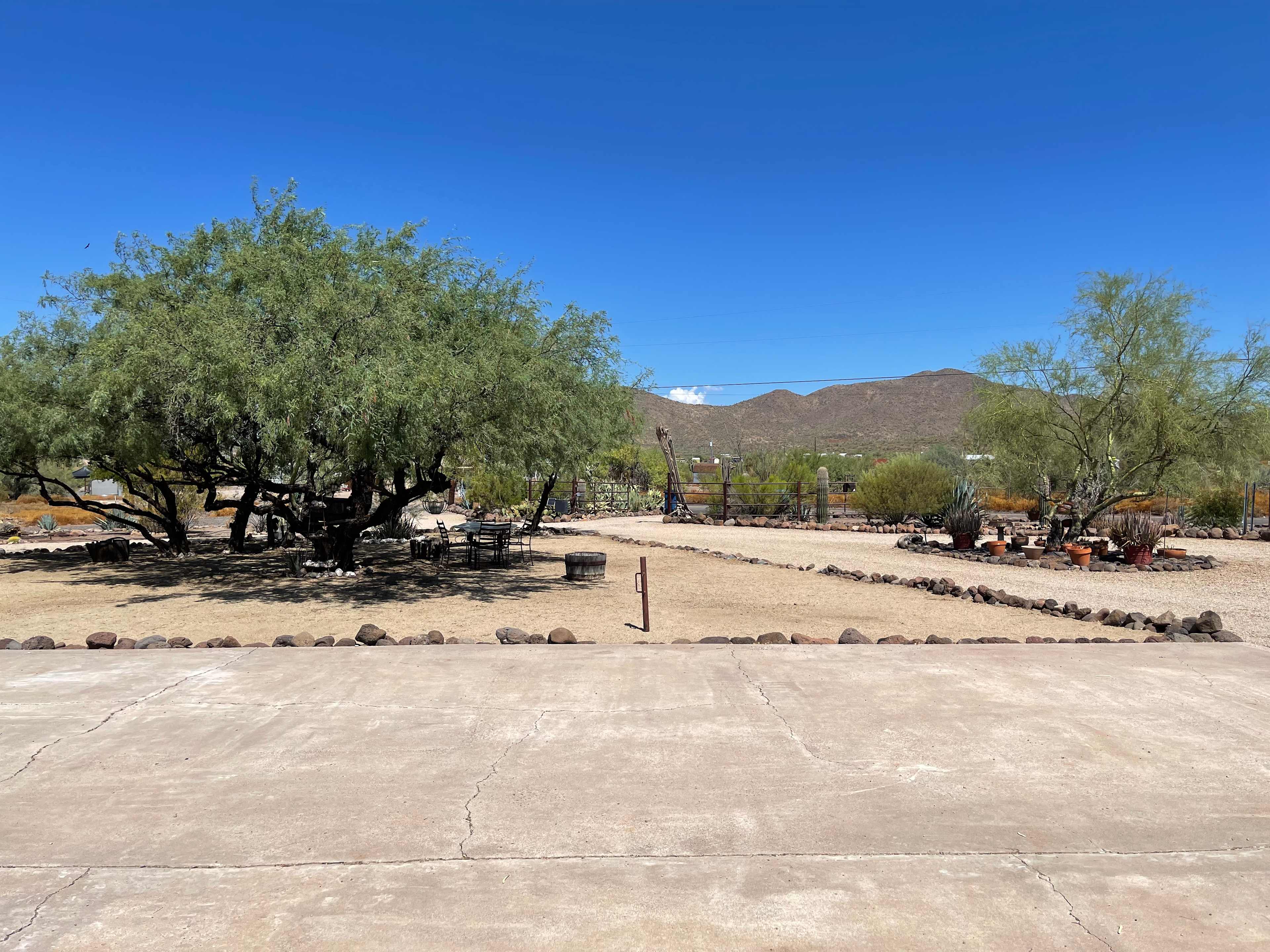 Picture of the site