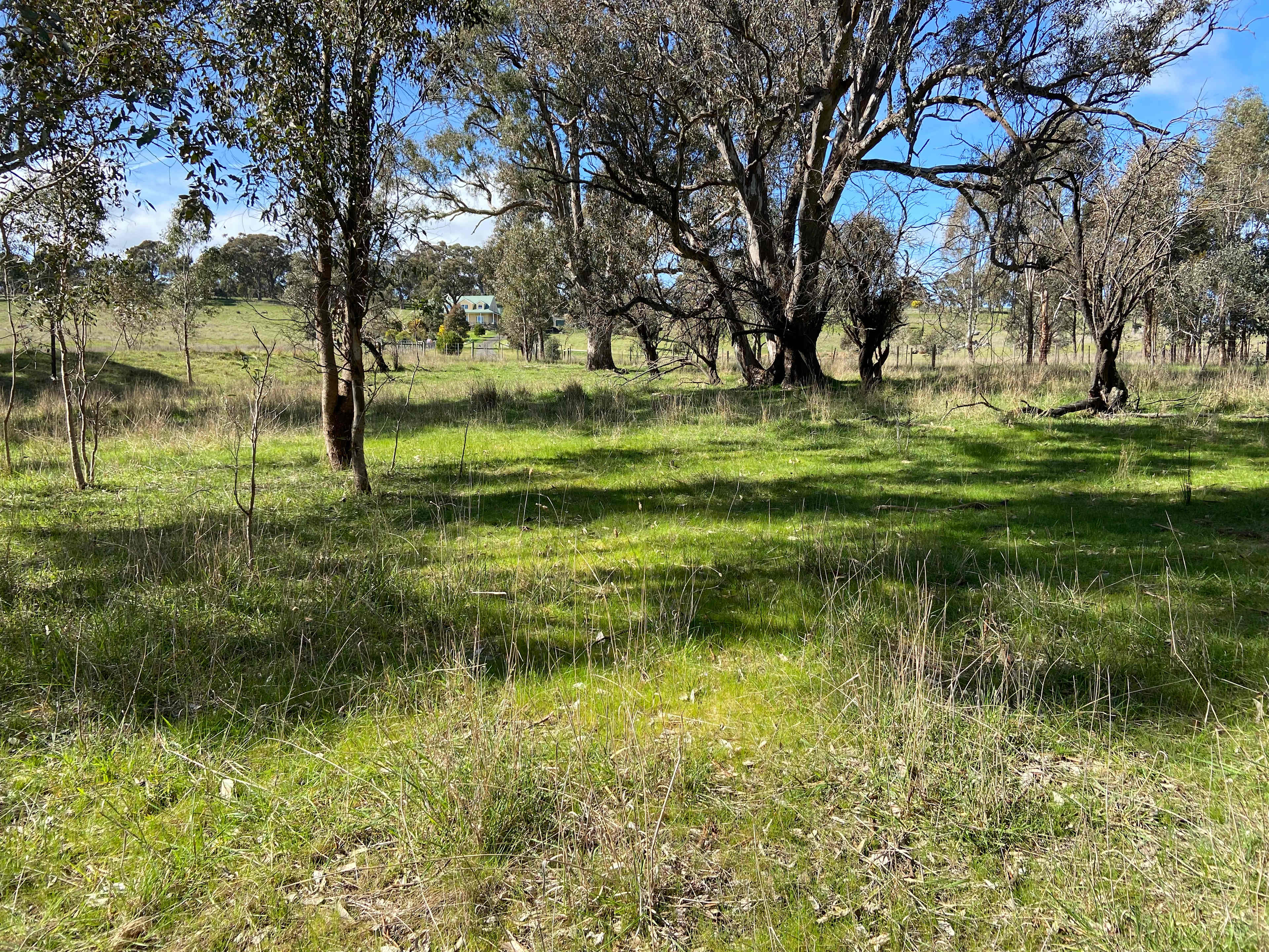 Example of camping site but lots to choose from. 