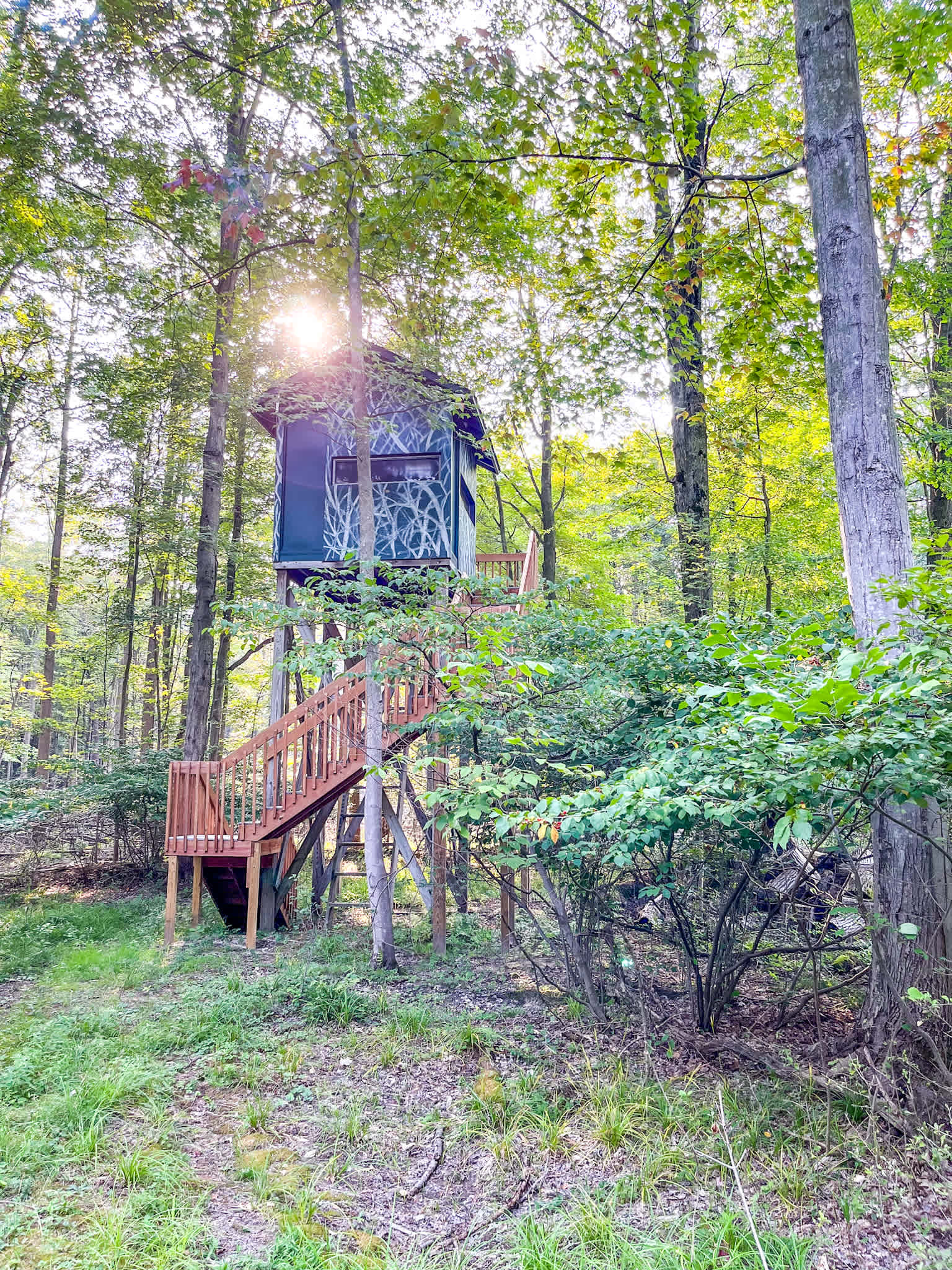 Tree Top High-Rise