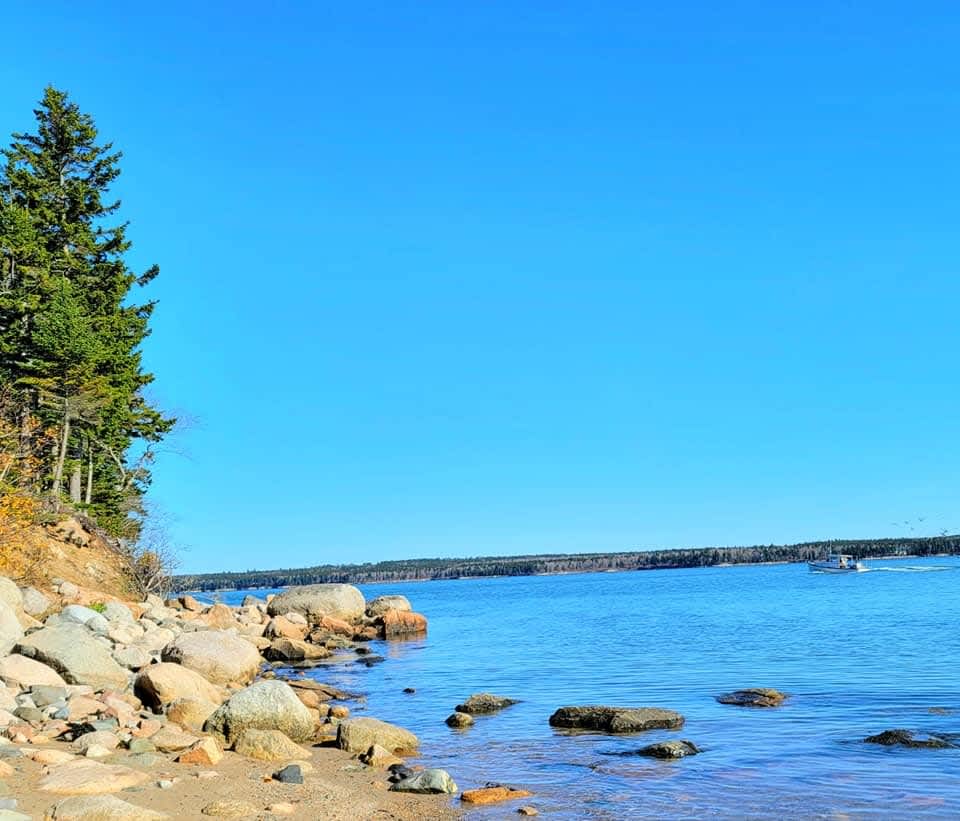 Starlight Beach Experience Camp