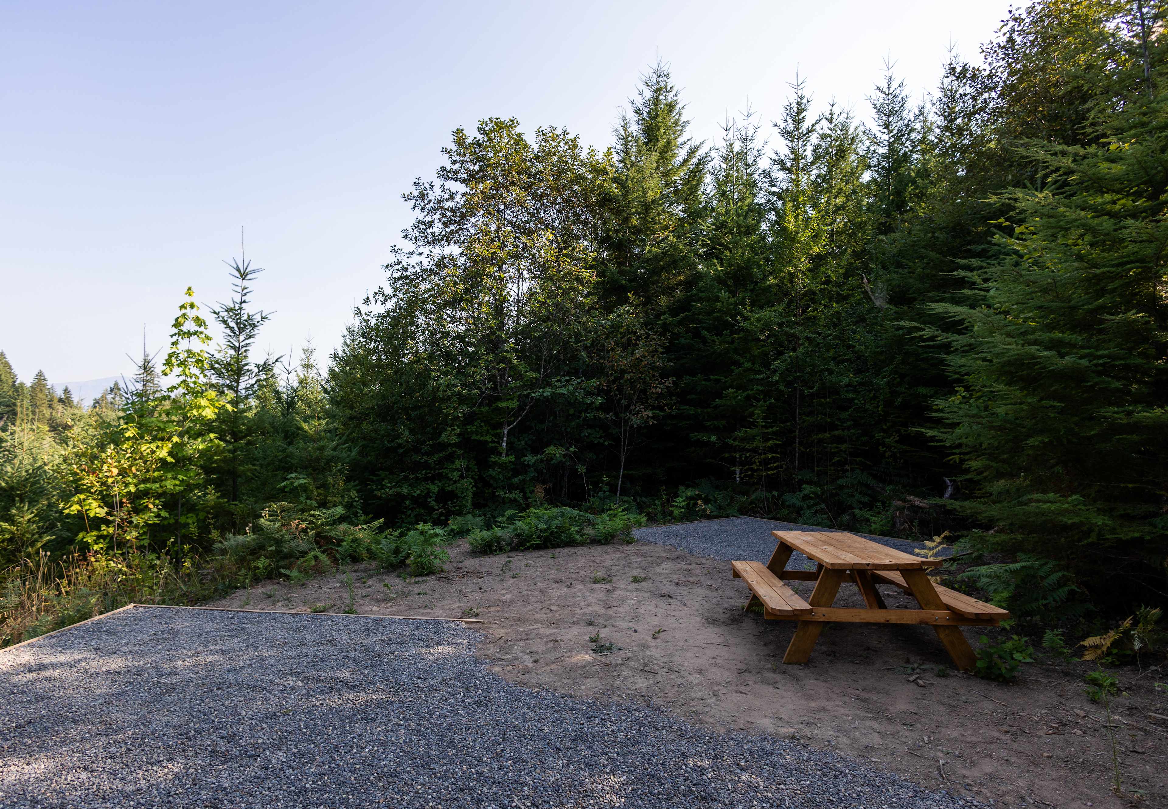 Double tent site with a picnic table 