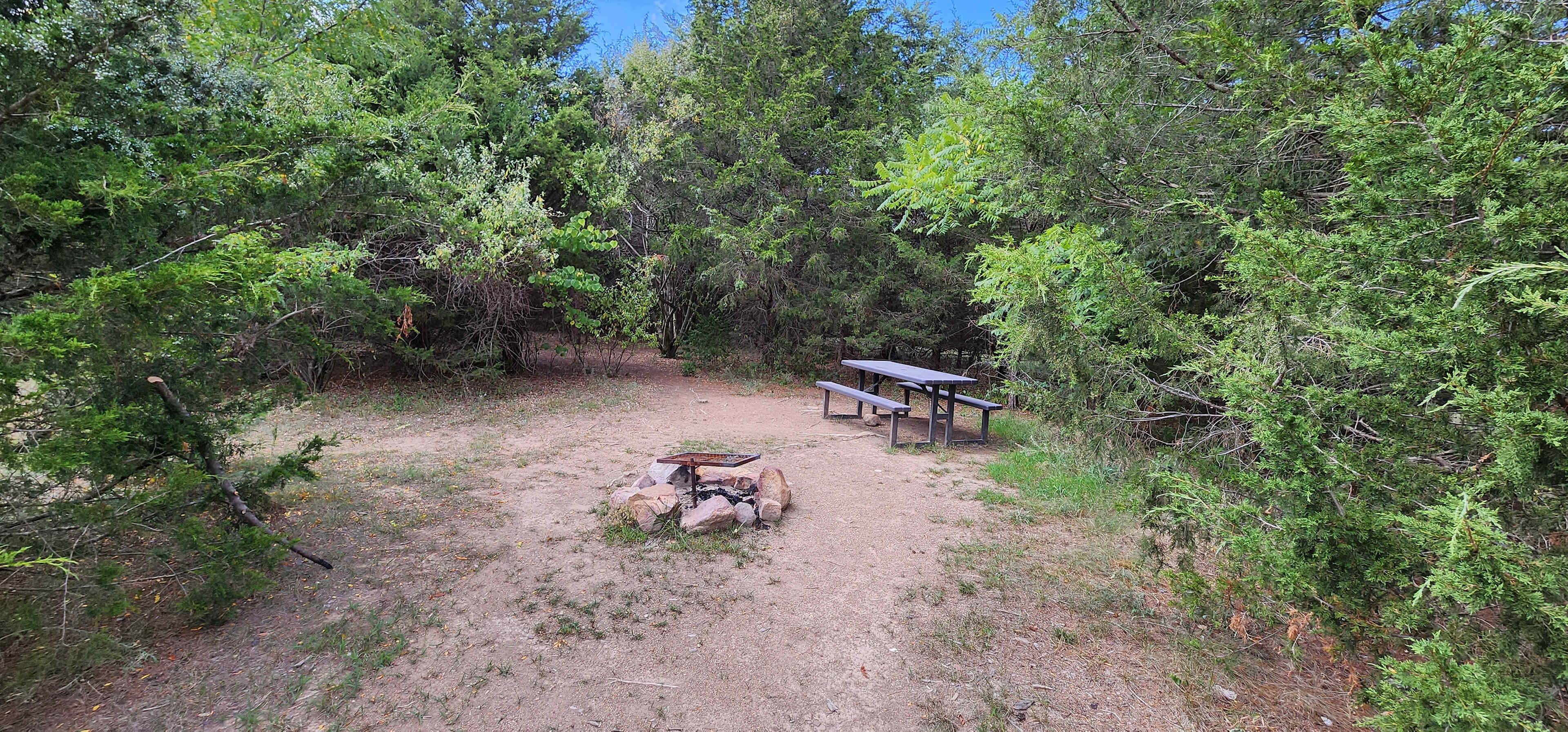Picture of the site